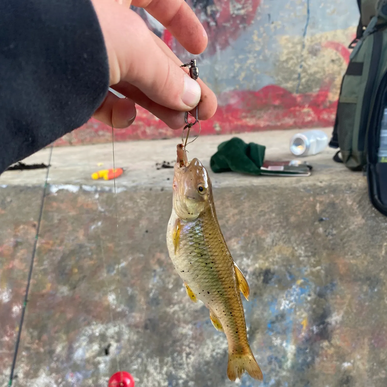 catch