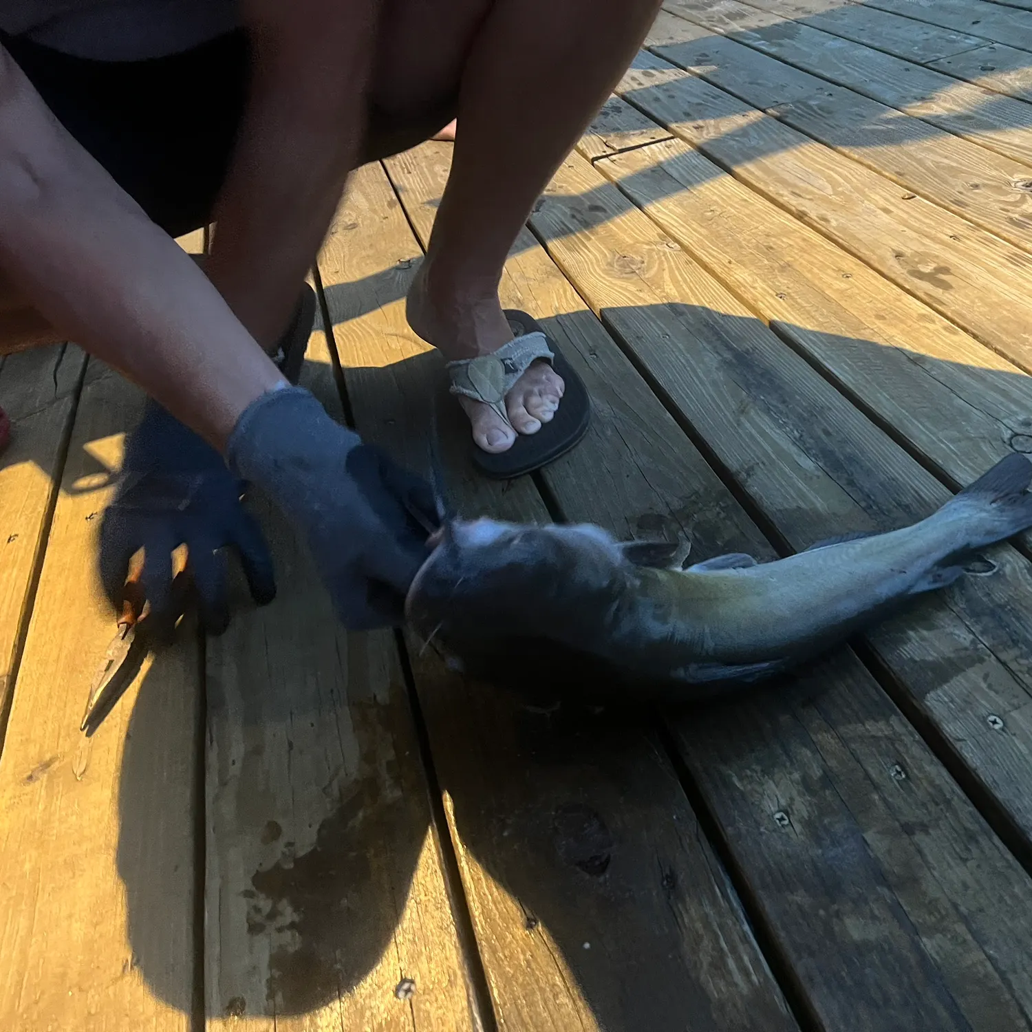 catch