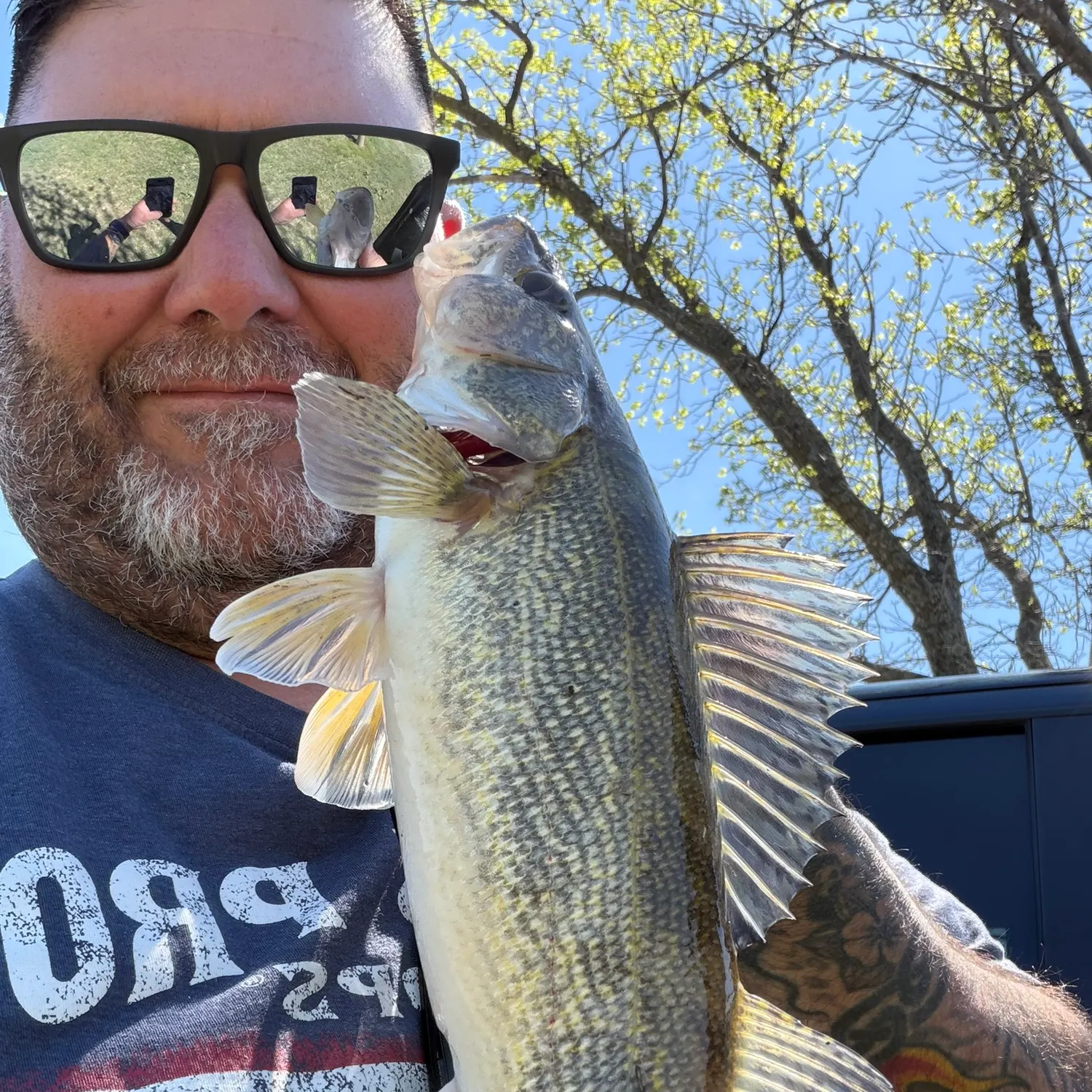 The most recent Sauger catches on Fishbrain