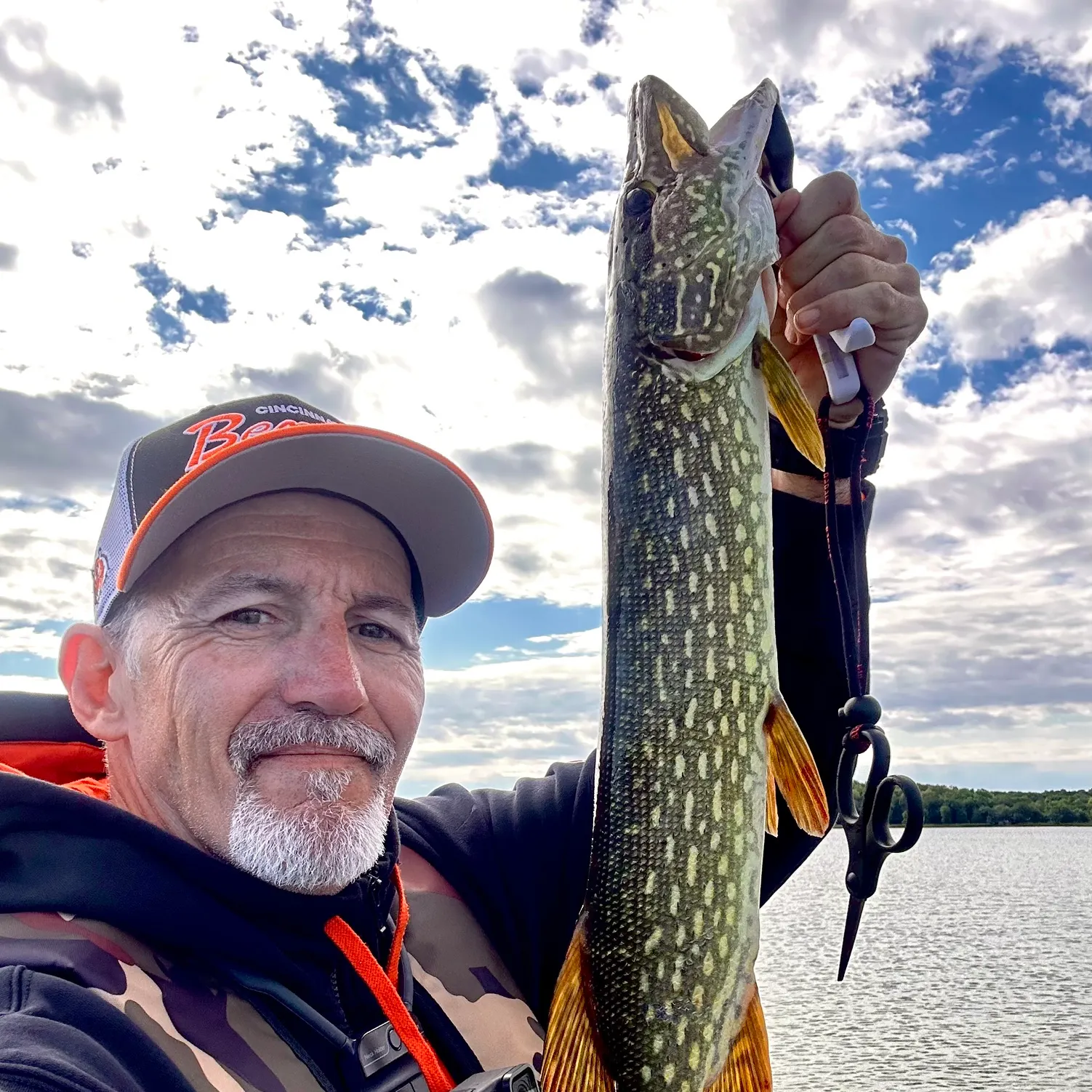 Northern pike caught on Fishbrain