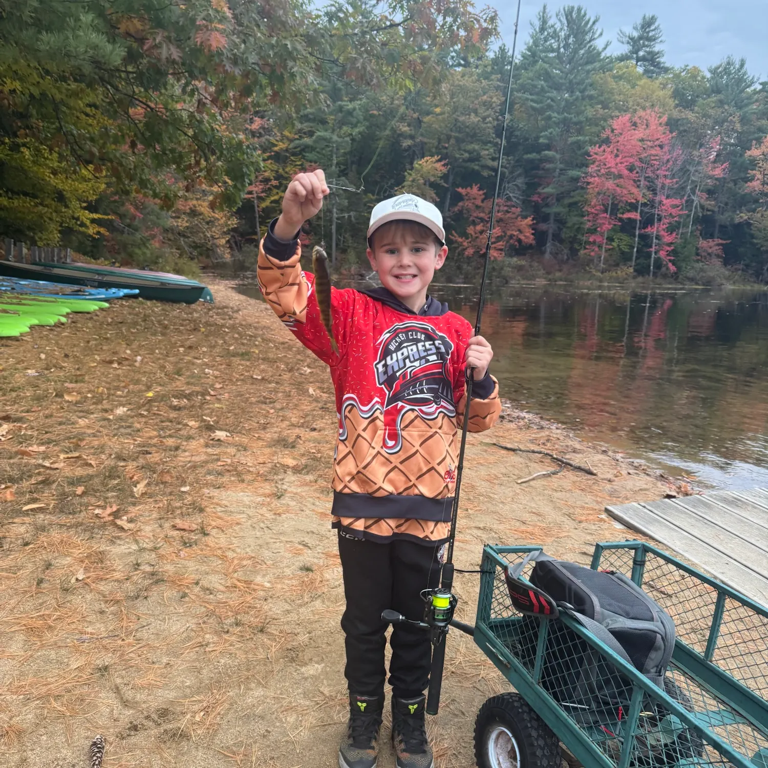 Yellow perch caught on Fishbrain