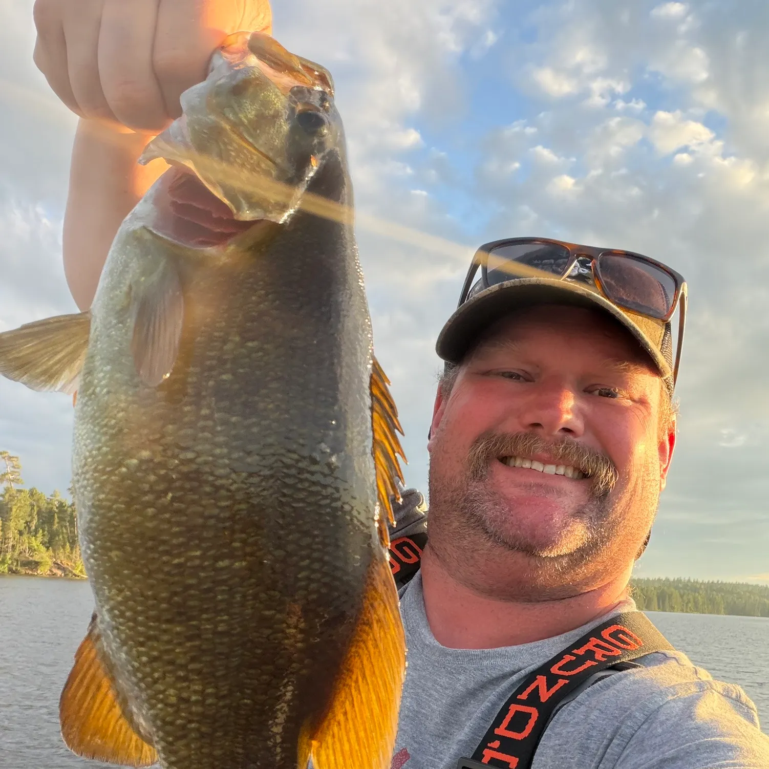 Smallmouth bass caught on Fishbrain
