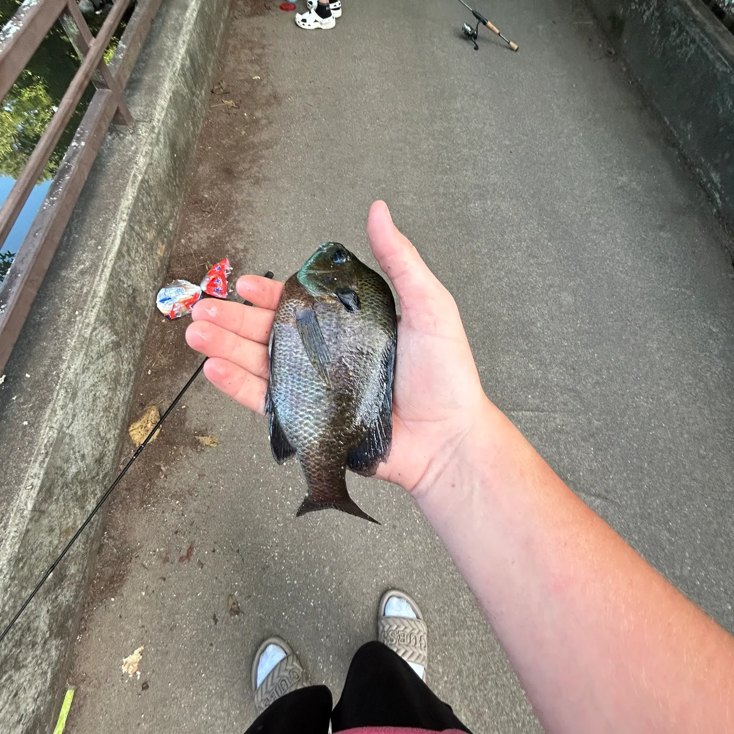 catch