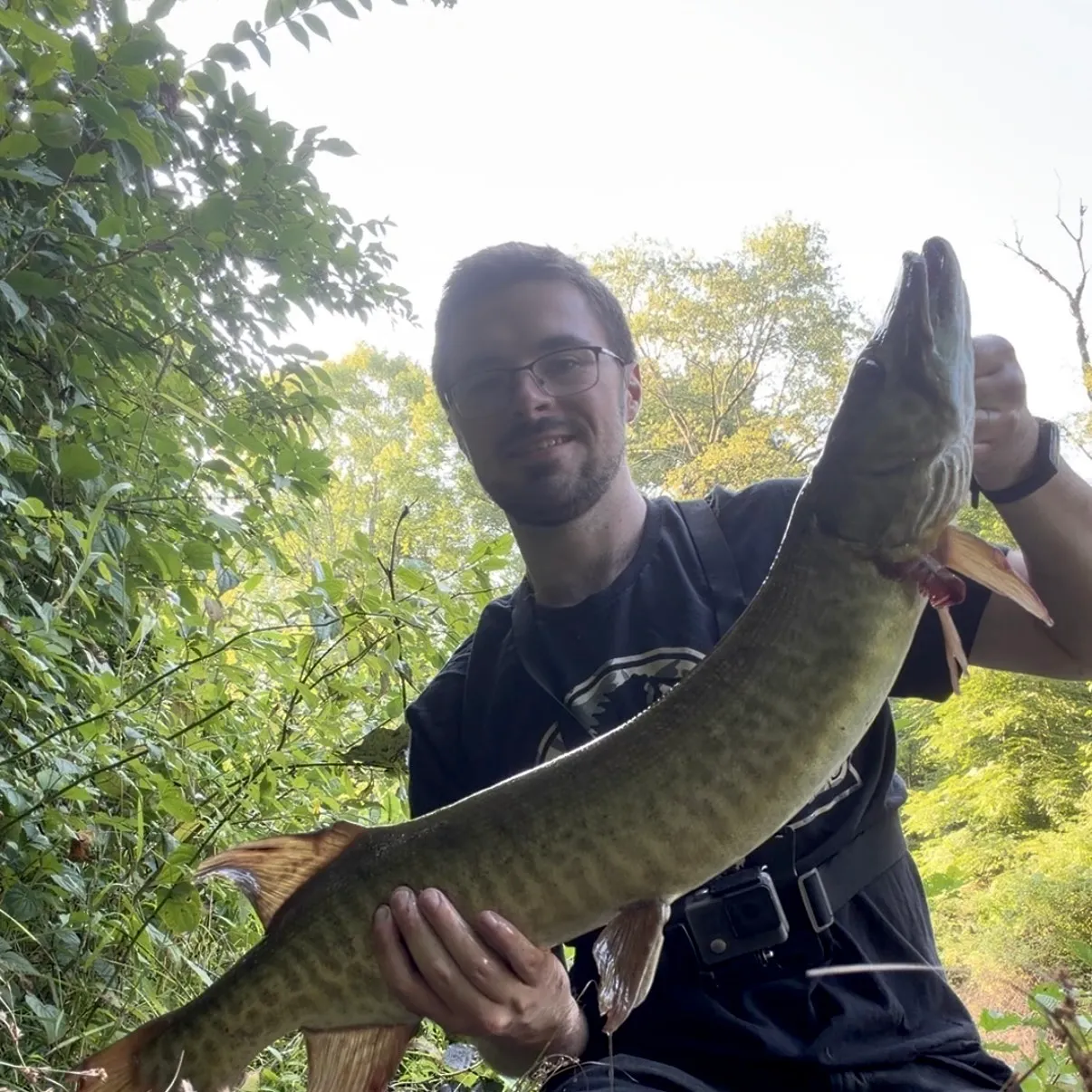 Muskie caught on Fishbrain