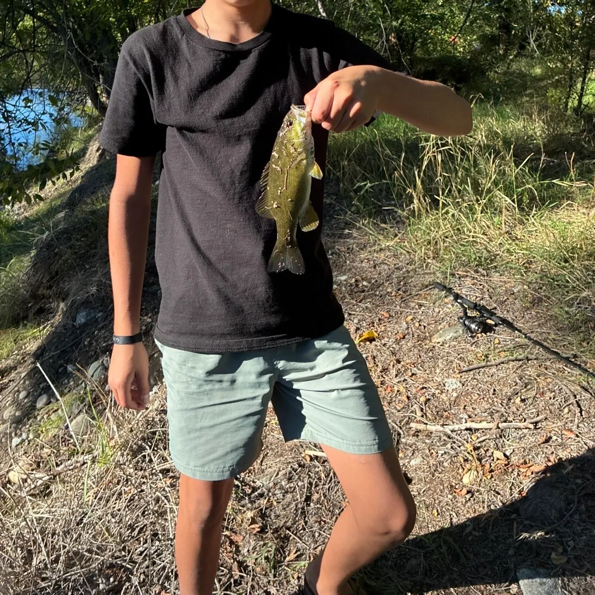 Smallmouth bass caught on Fishbrain