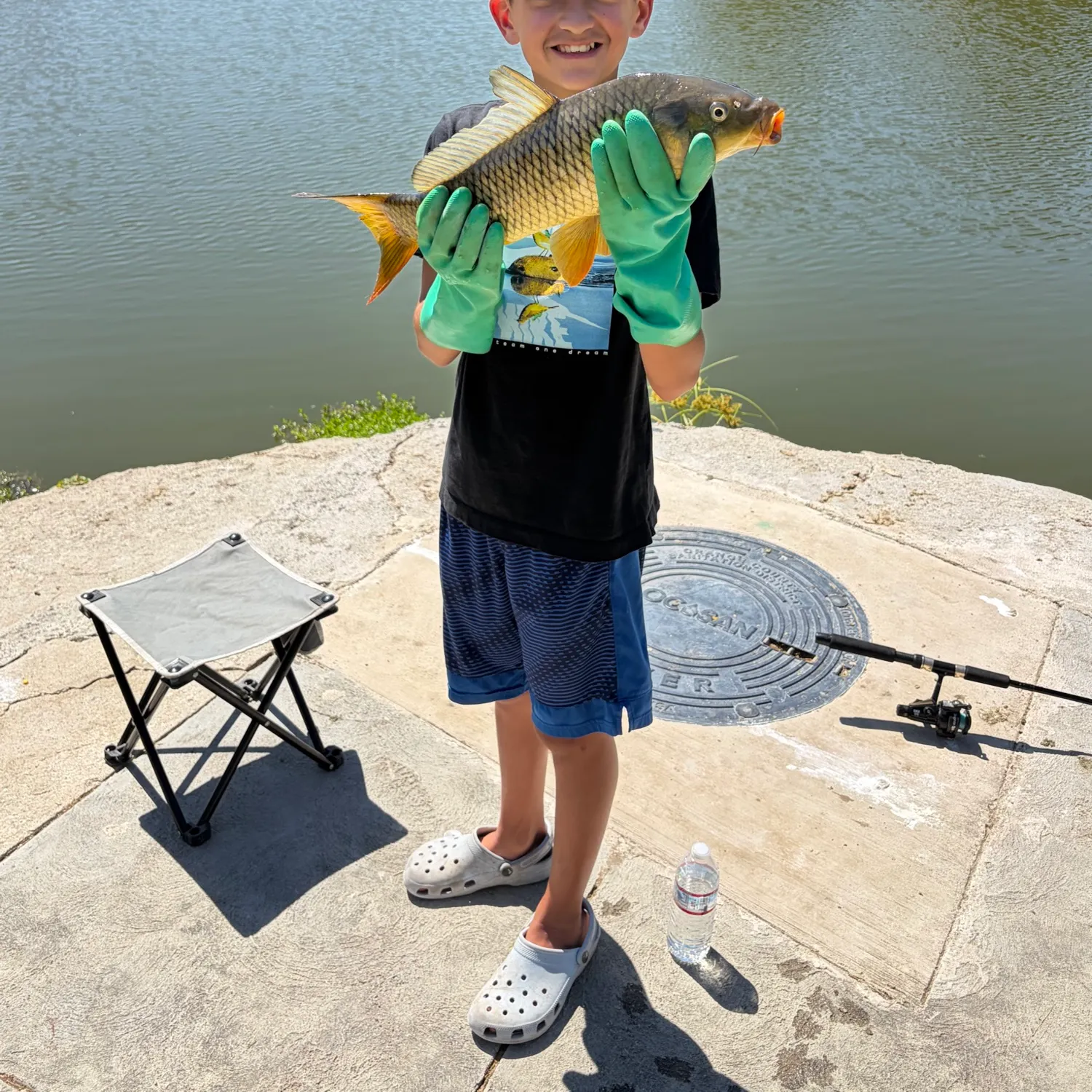 Common carp caught on Fishbrain