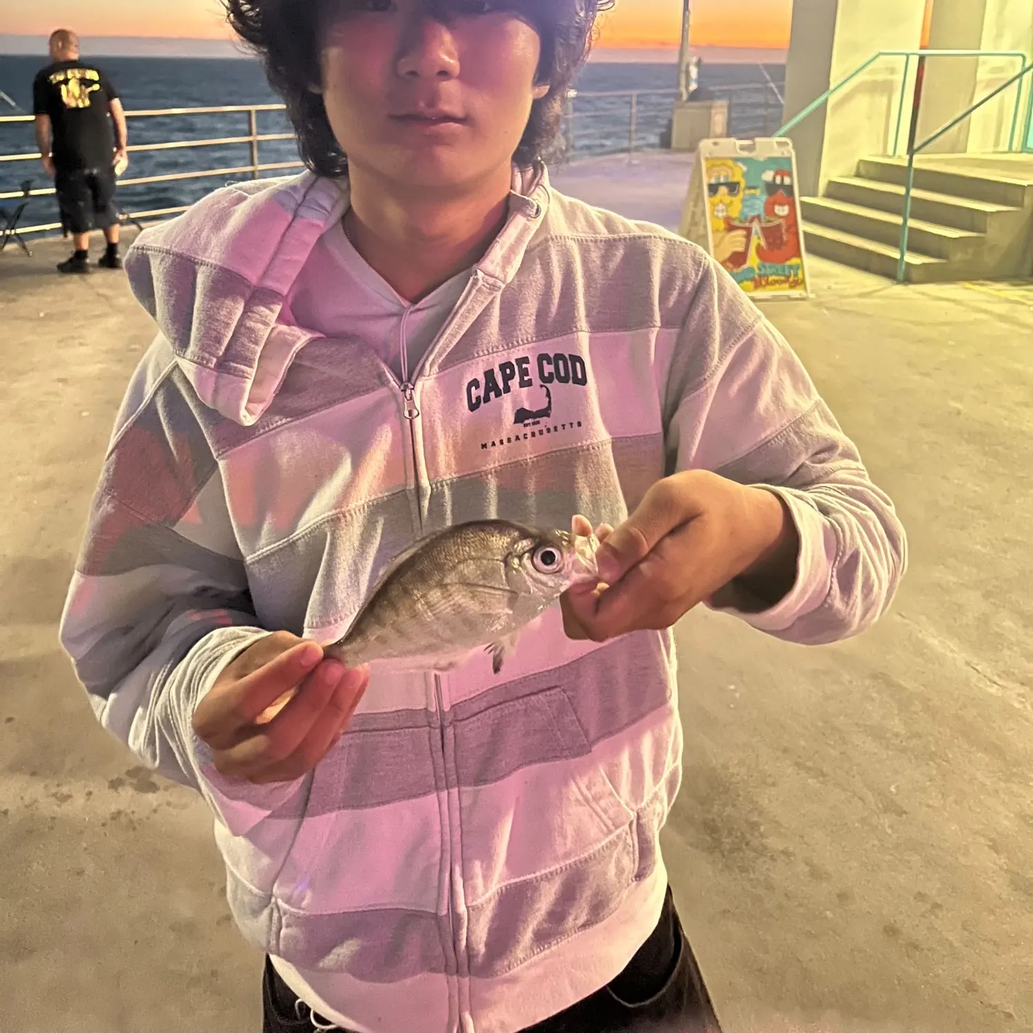 The most recent Pile perch catches on Fishbrain