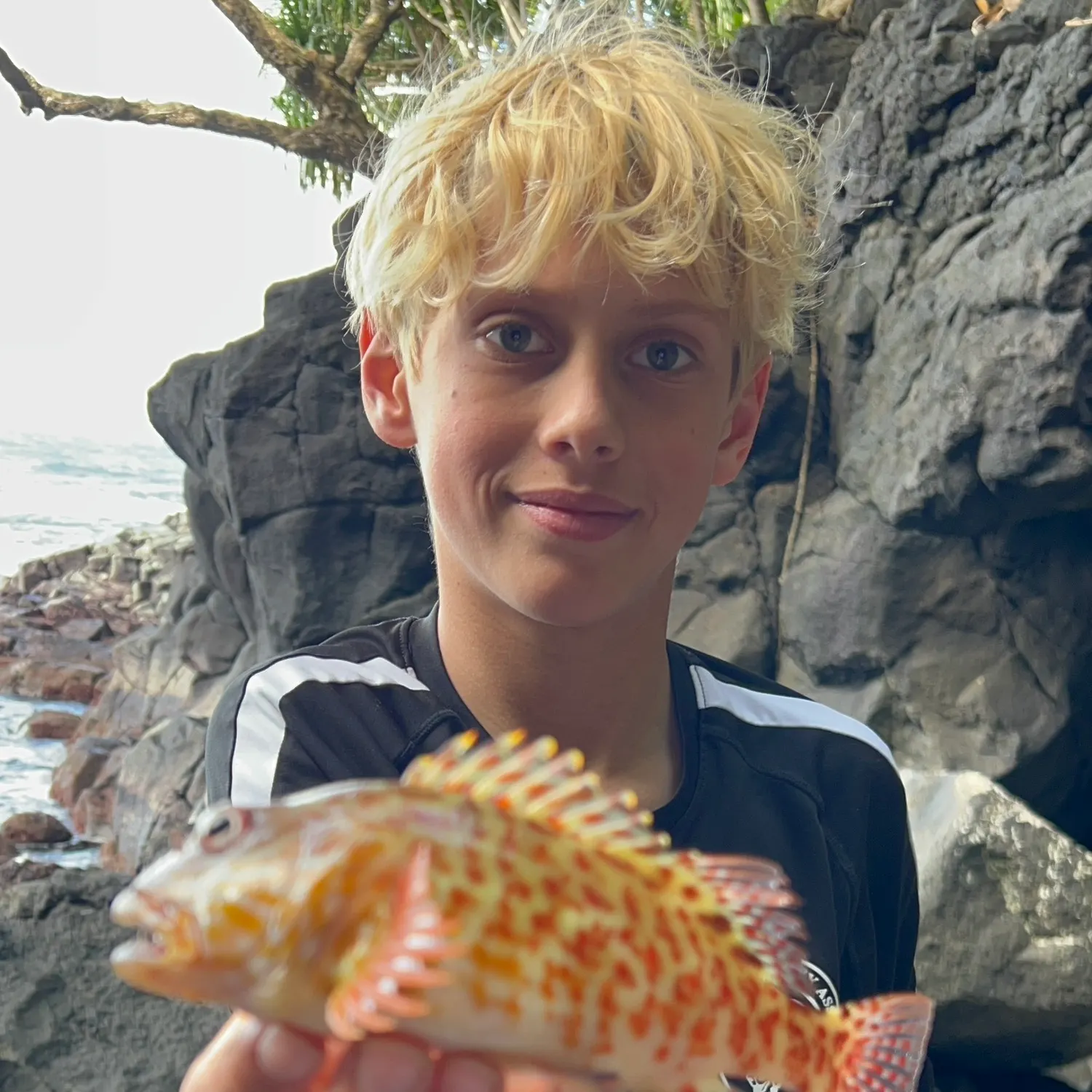 The most recent Greasy grouper catches on Fishbrain