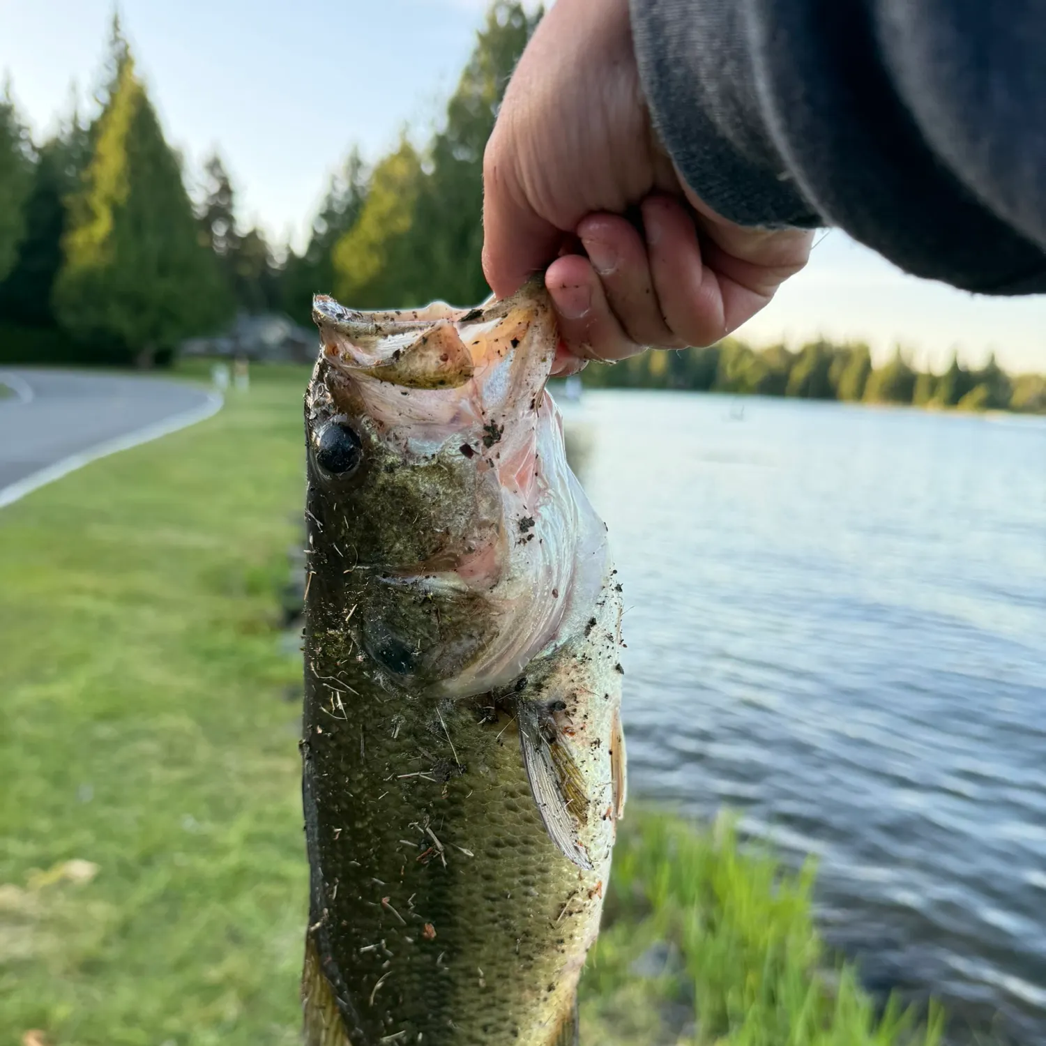 catch