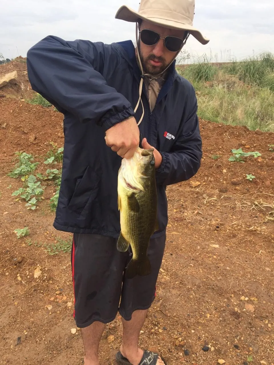 Post image from tpalm4359