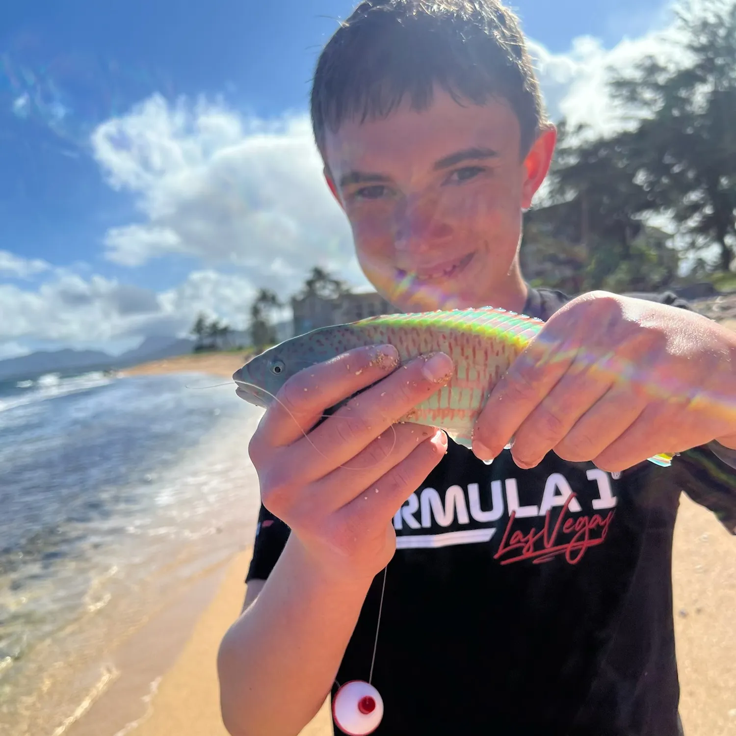 The most recent Christmas wrasse catches on Fishbrain