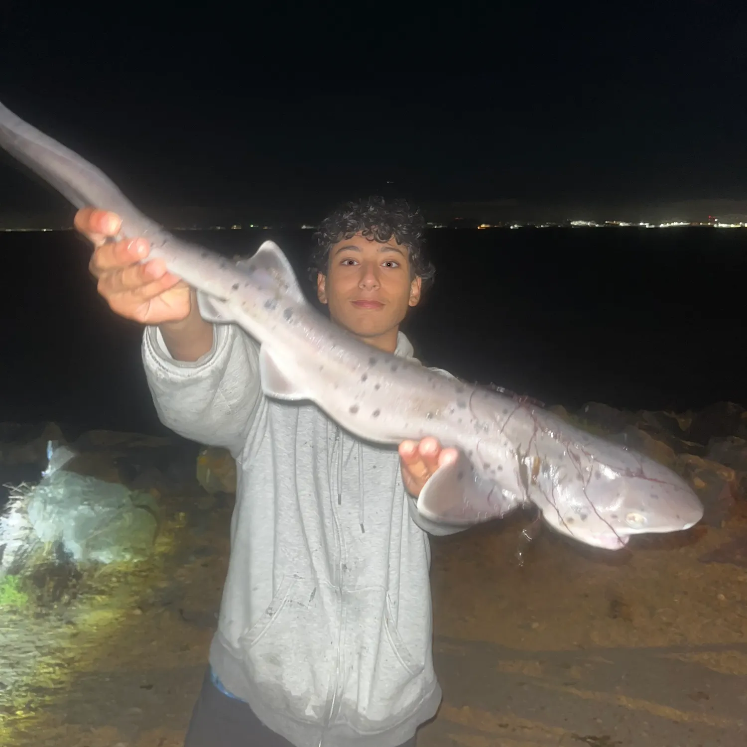 Broadnose sevengill shark caught on Fishbrain