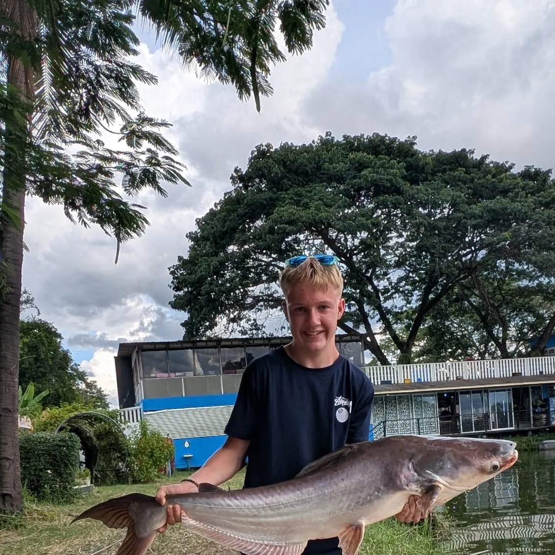 Mekong giant catfish caught on Fishbrain