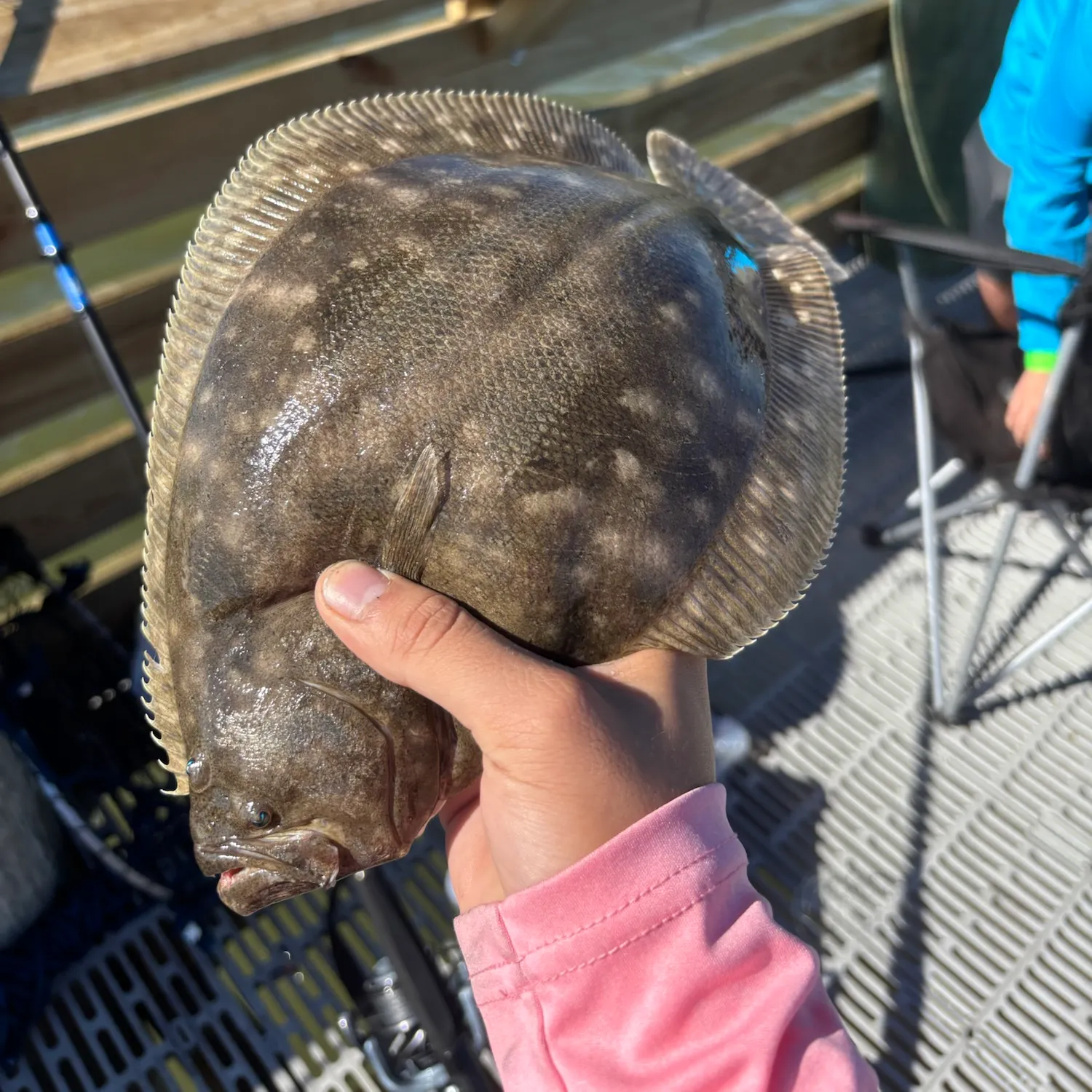 The most recent Southern flounder catches on Fishbrain