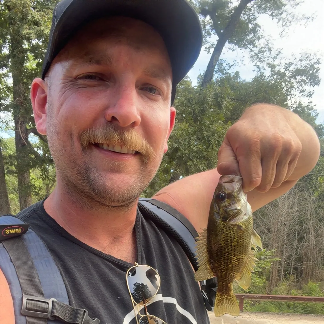 Rock bass caught on Fishbrain