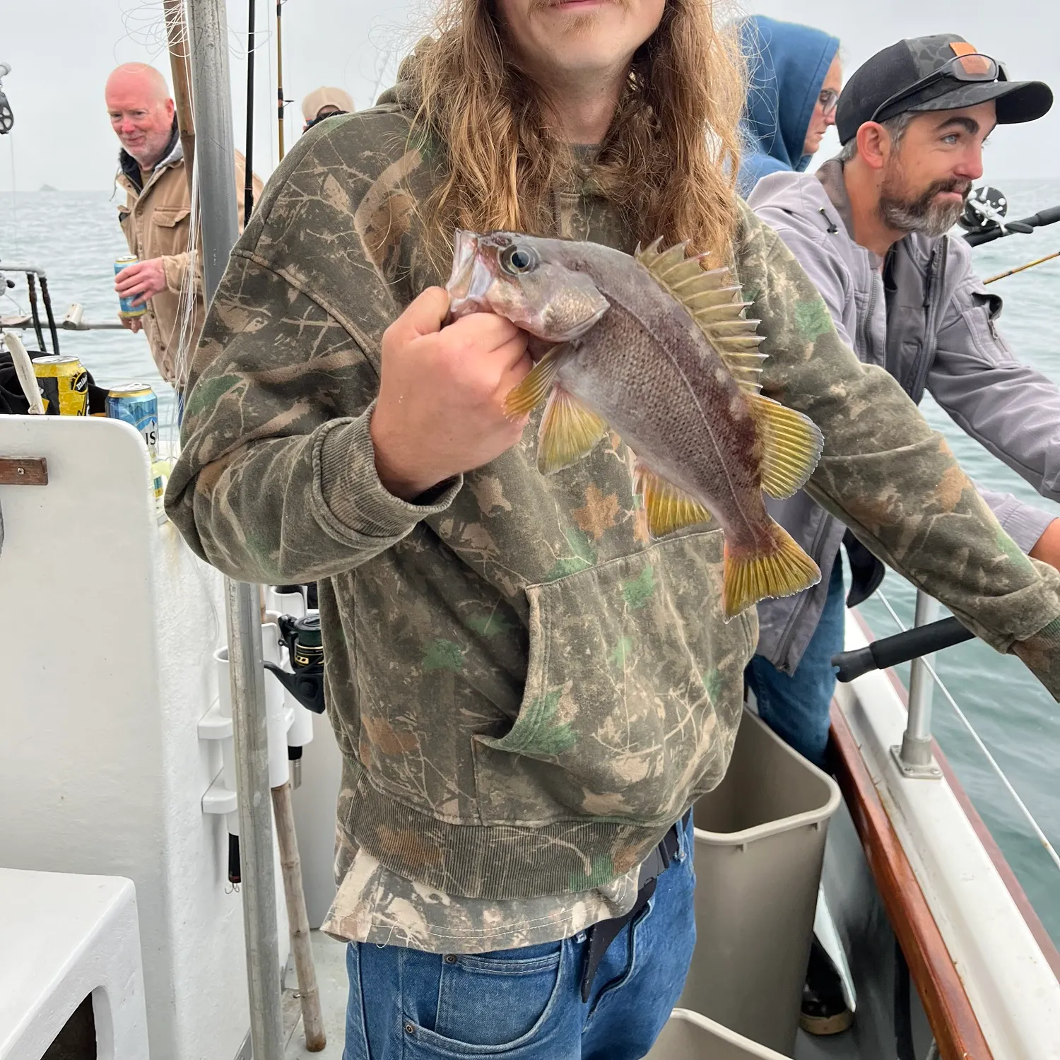 The most recent Yellowtail rockfish catches on Fishbrain