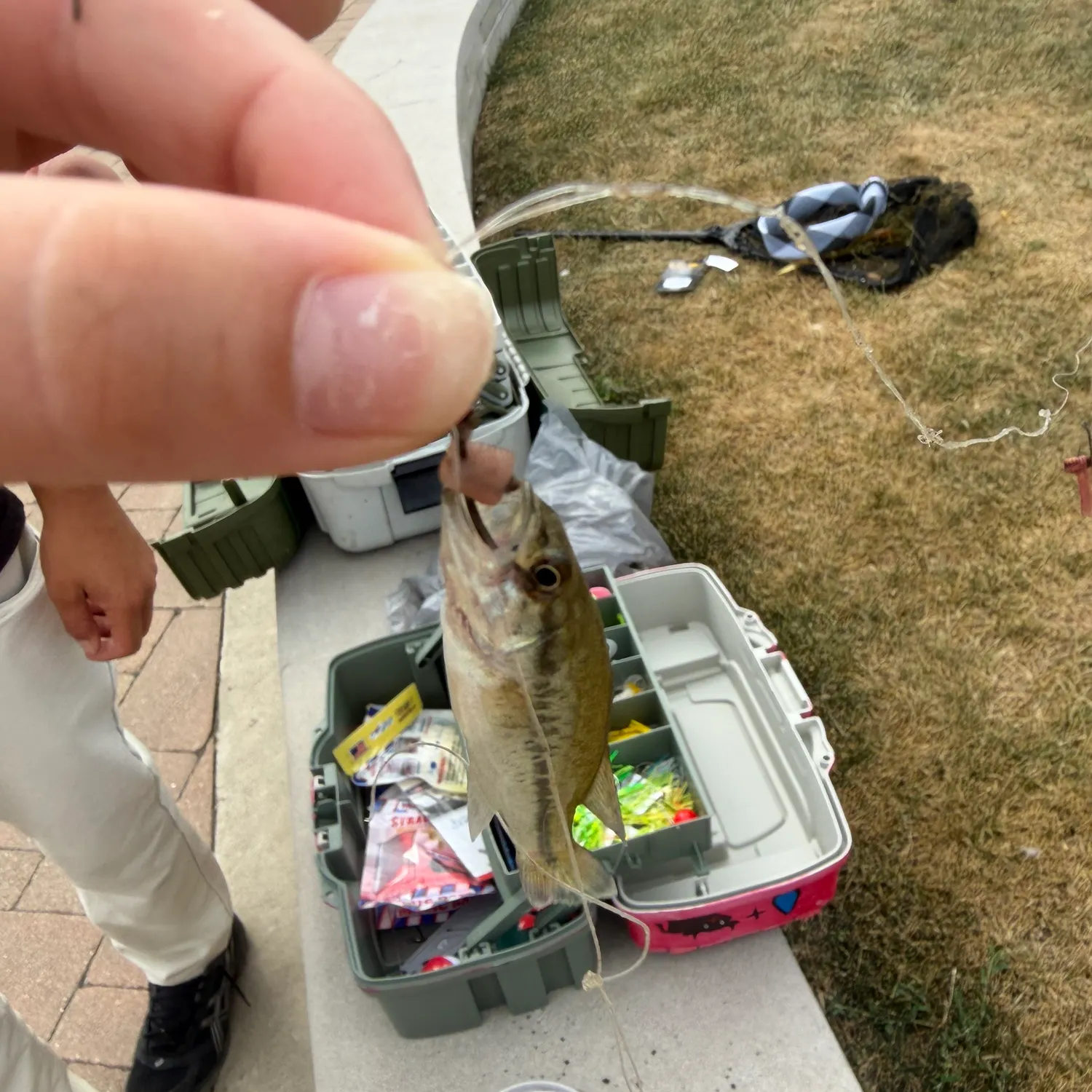 catch