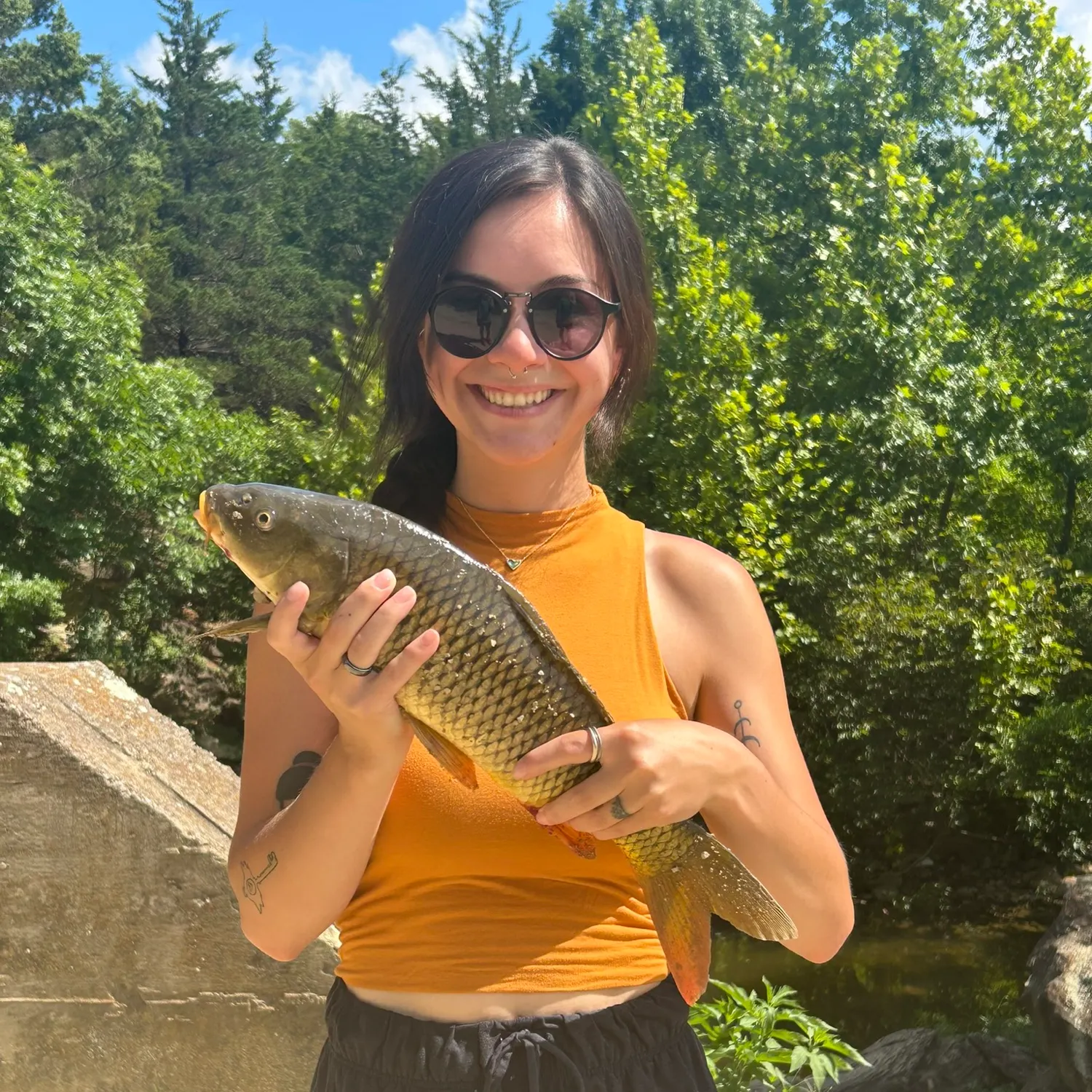 Common carp caught on Fishbrain