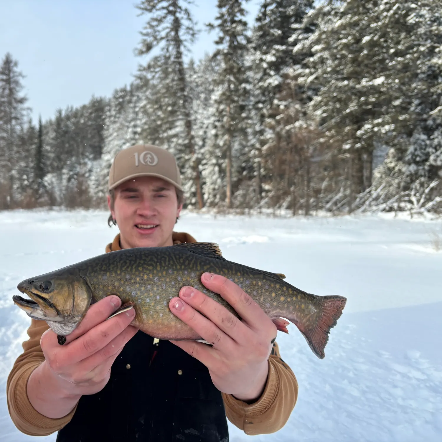 The most recent Brook trout catches on Fishbrain