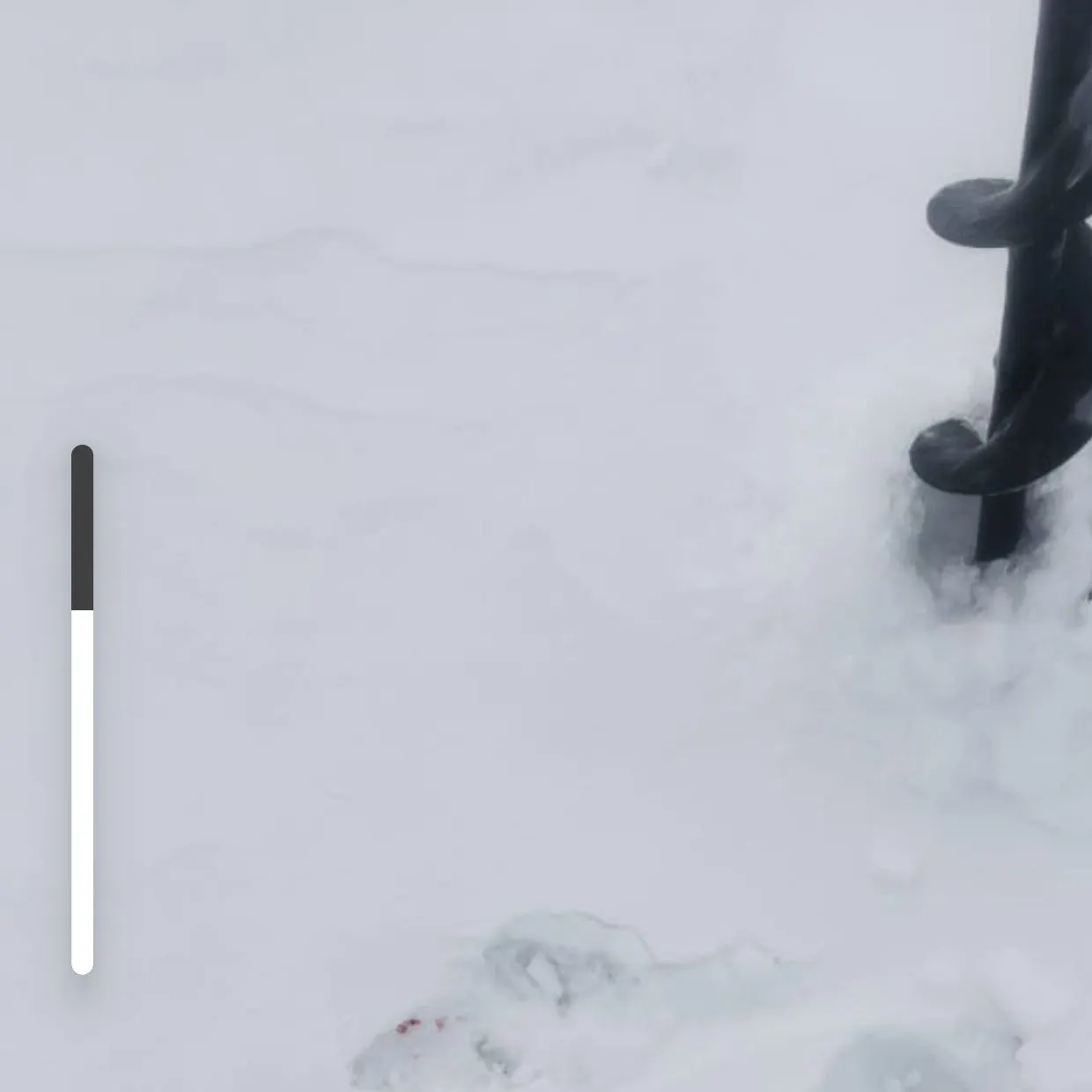 The most recent European perch catches on Fishbrain