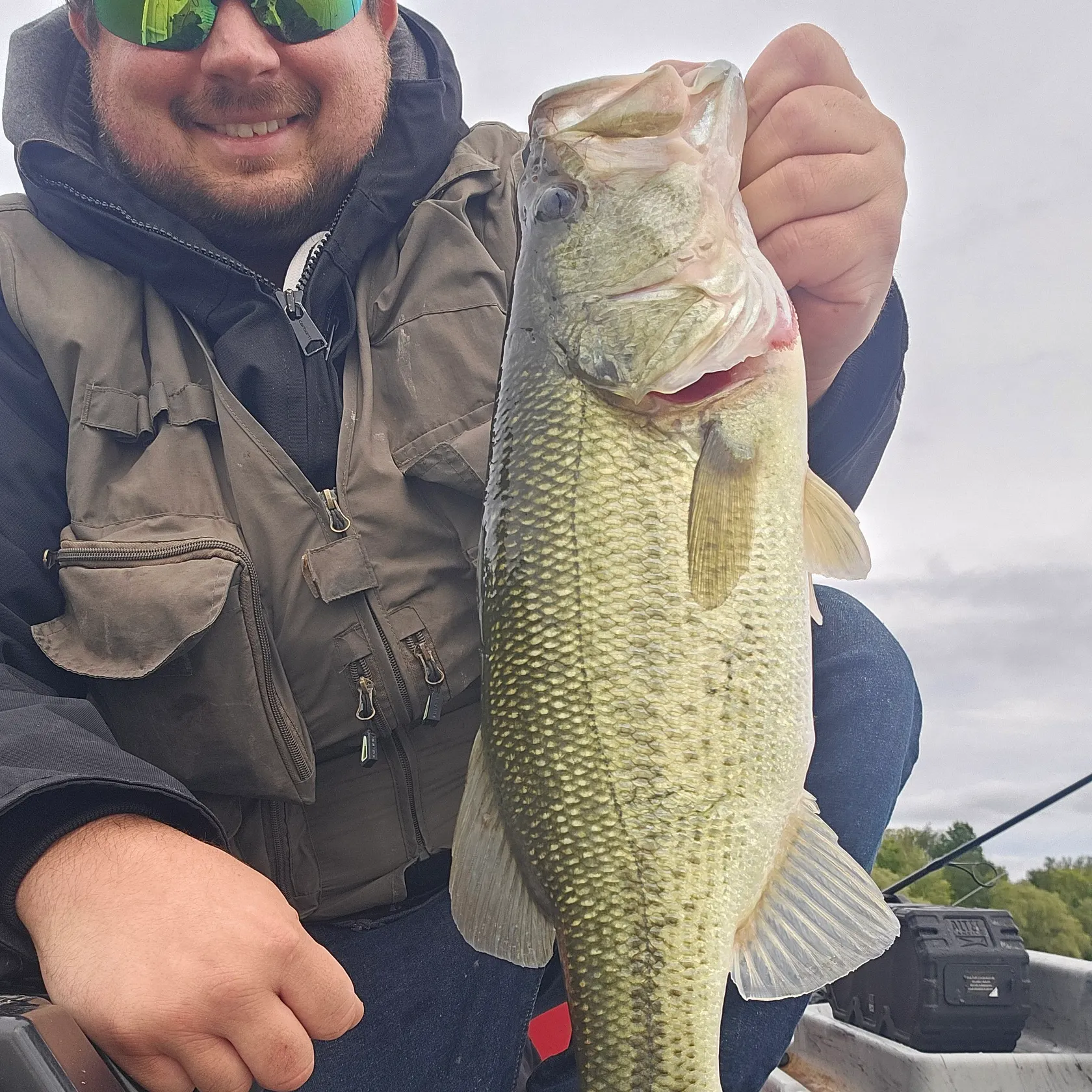 Largemouth bass caught on Fishbrain