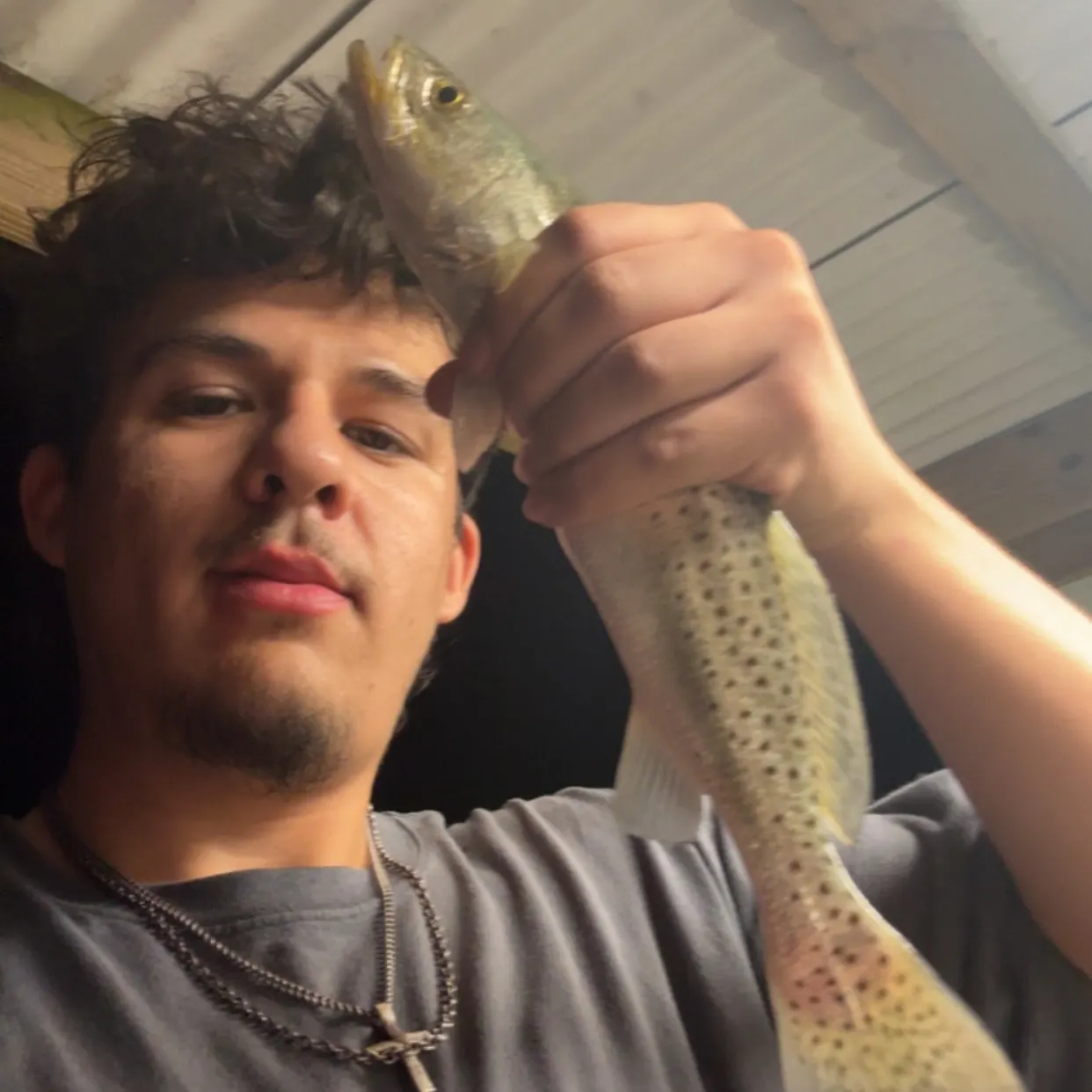 Spotted seatrout caught on Fishbrain