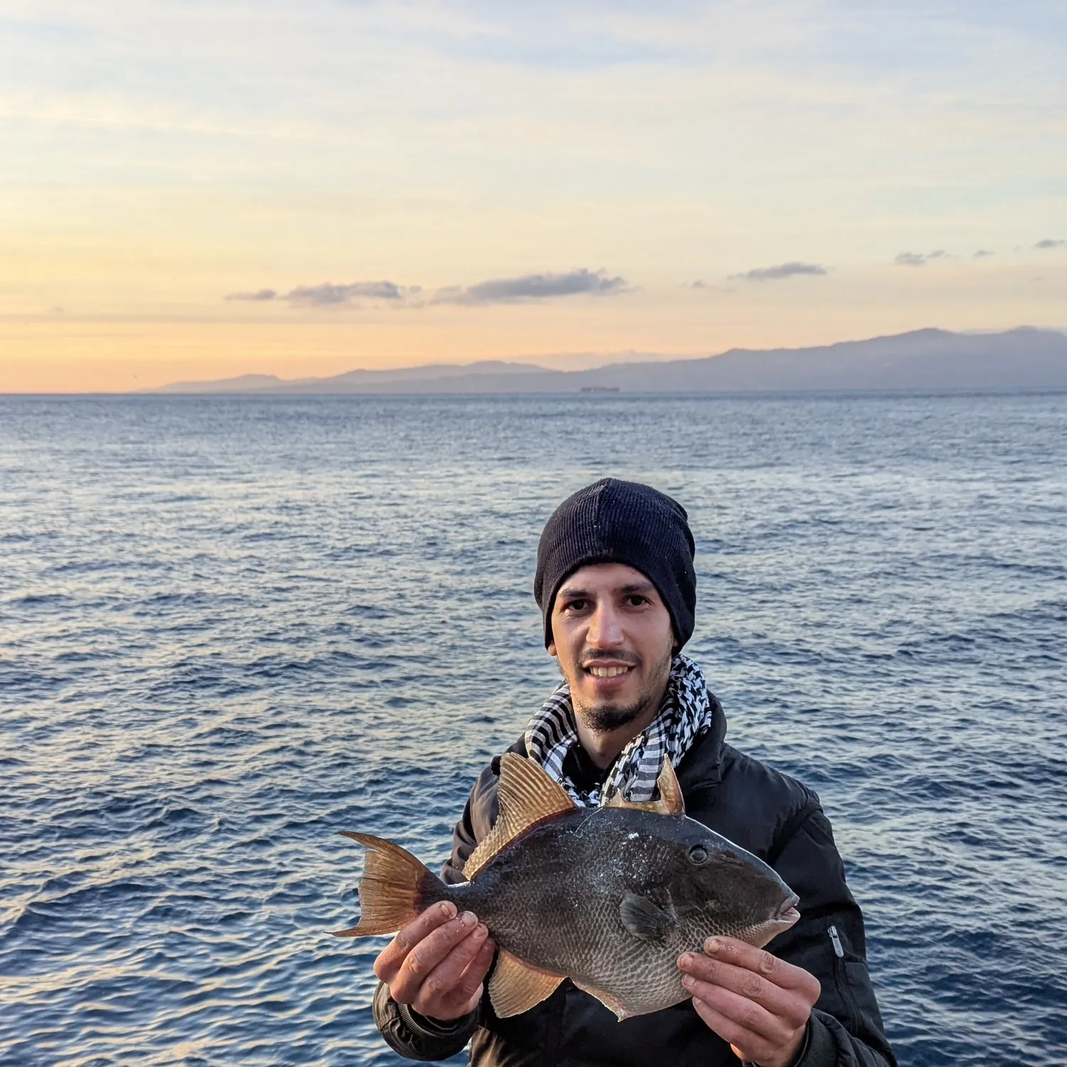 The most recent Grey triggerfish catches on Fishbrain