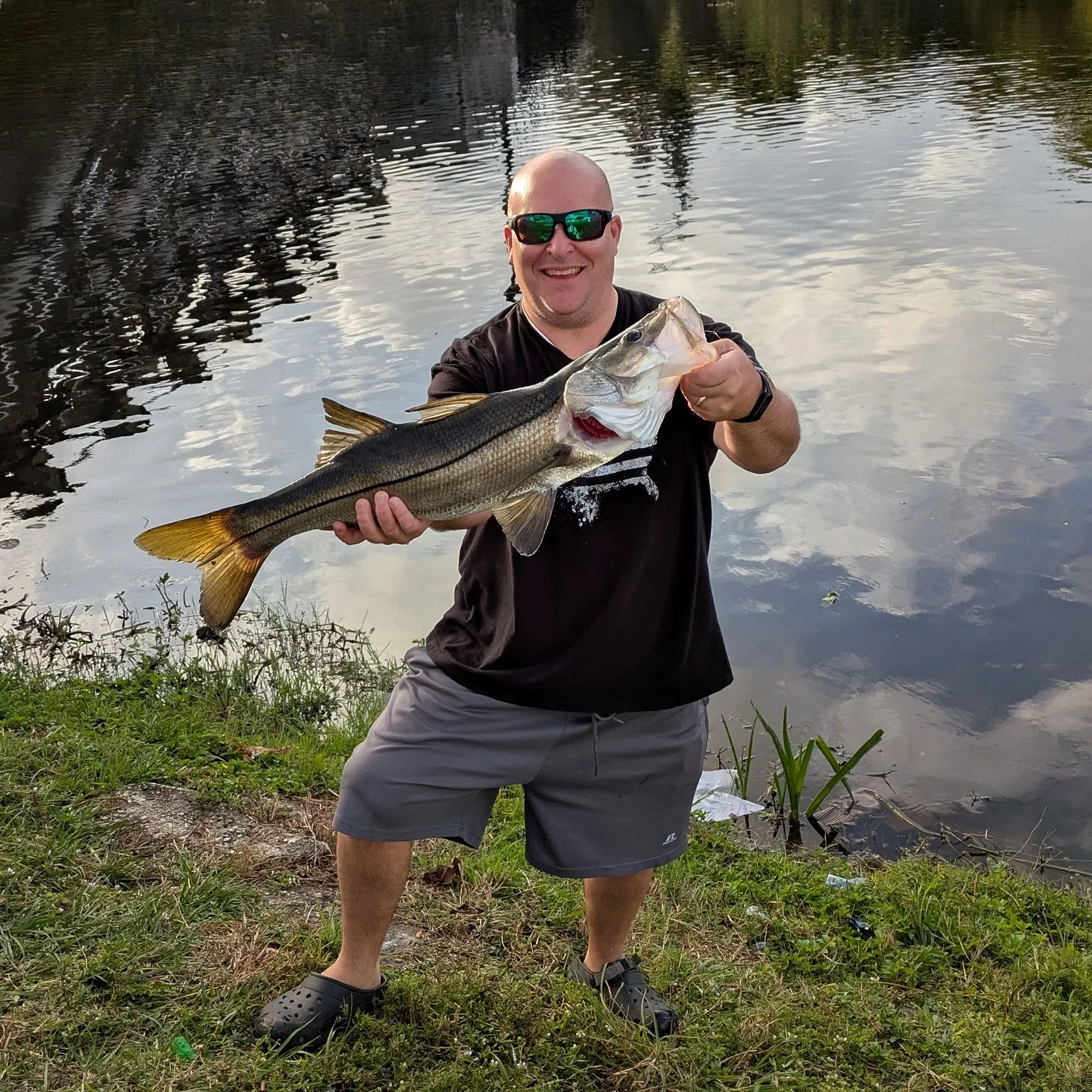 The most recent Common snook catches on Fishbrain