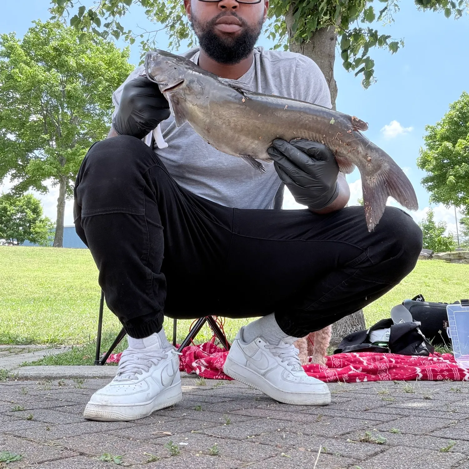 catch
