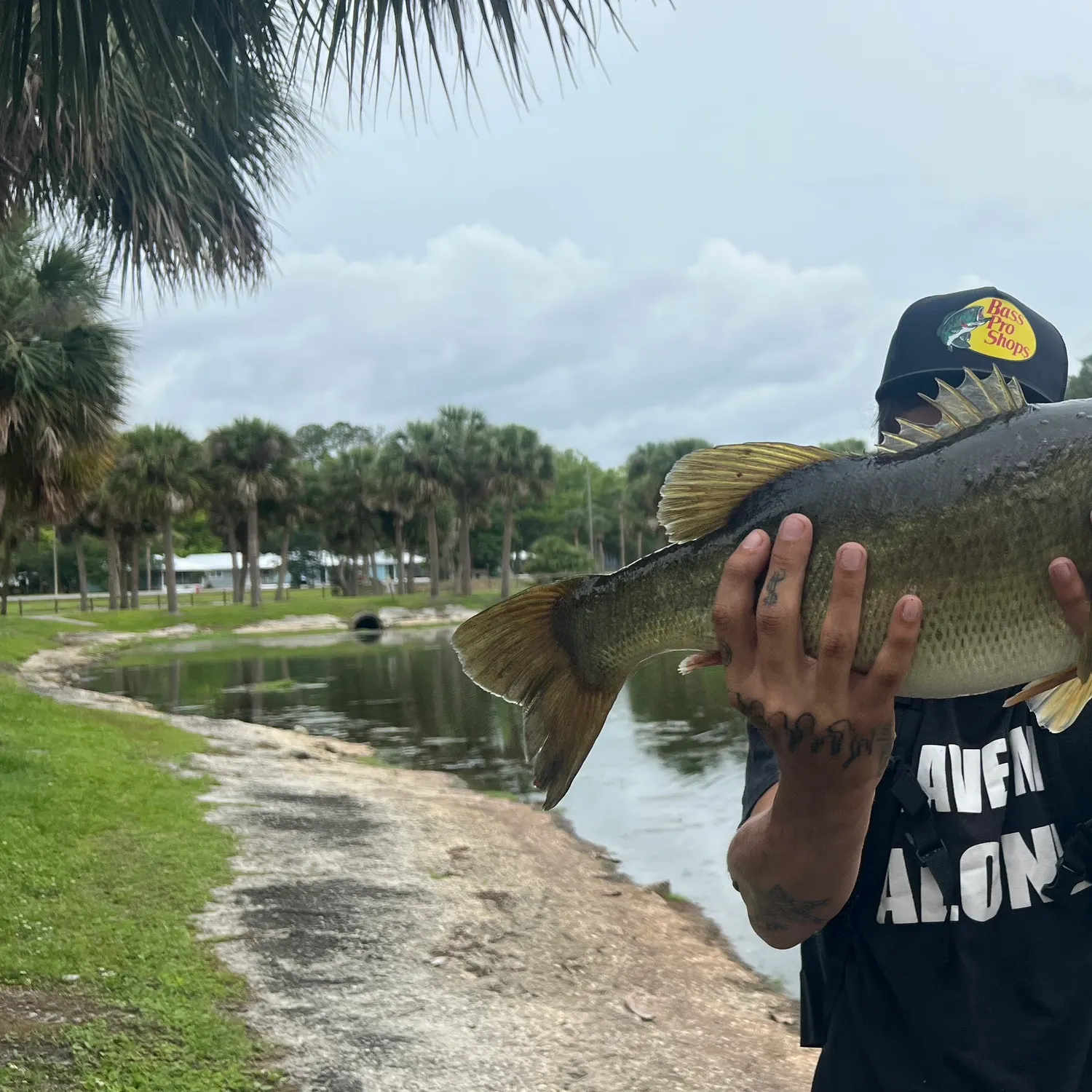angler catch