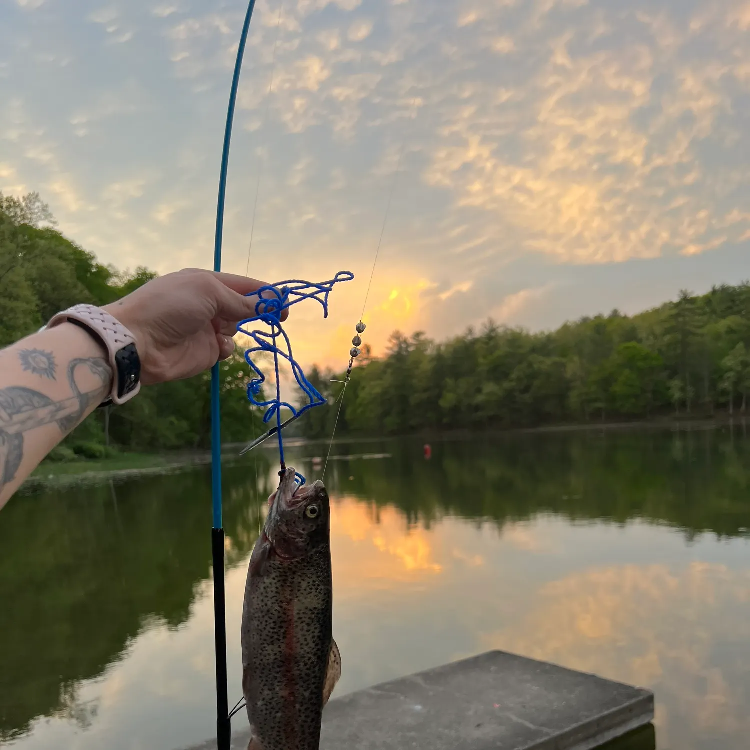 recently logged catches