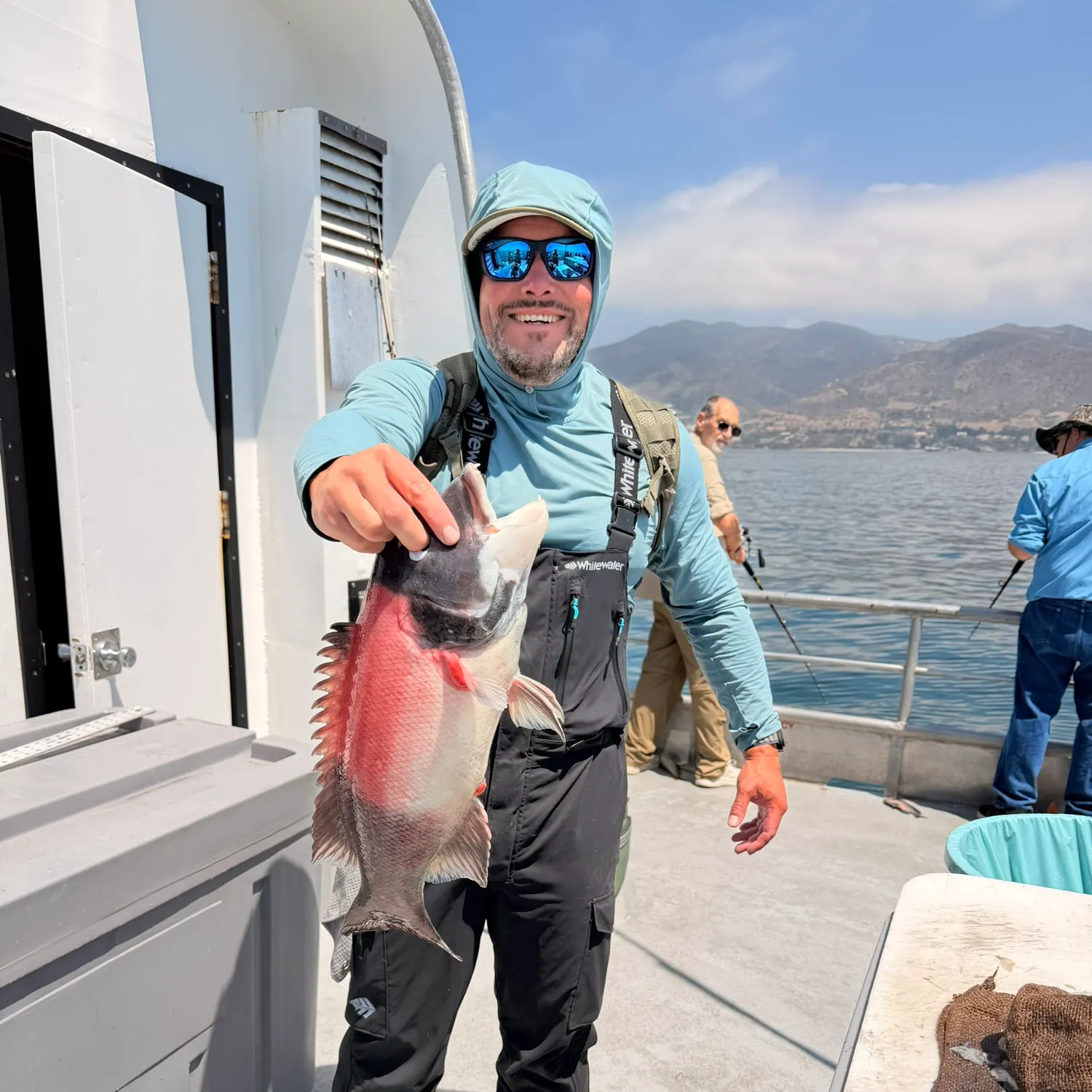 The most recent California sheephead catches on Fishbrain
