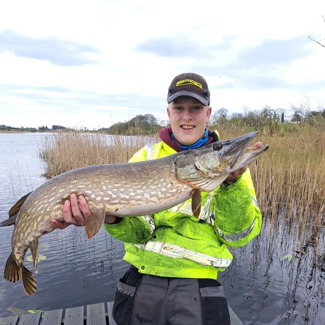 Fish caught on Fishbrain