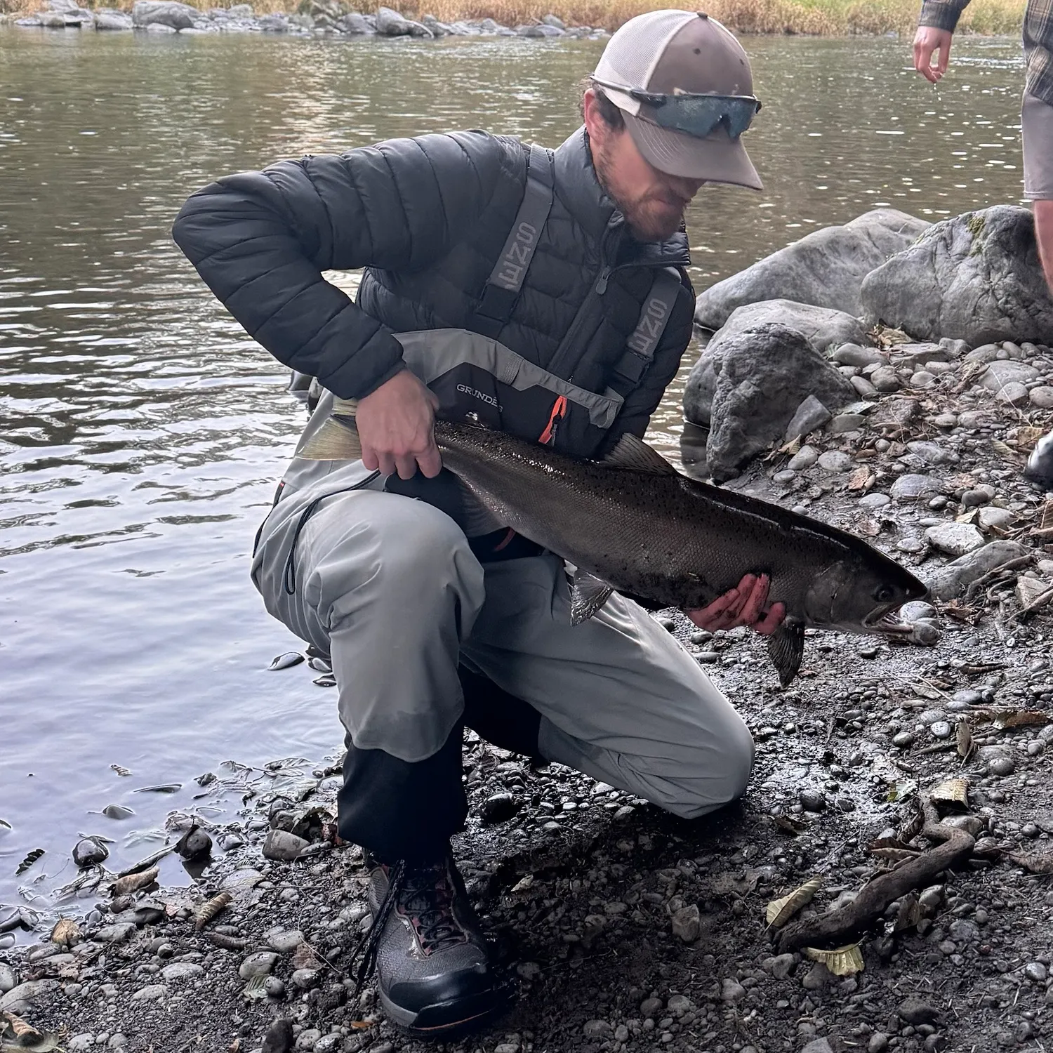 Coho salmon caught on Fishbrain