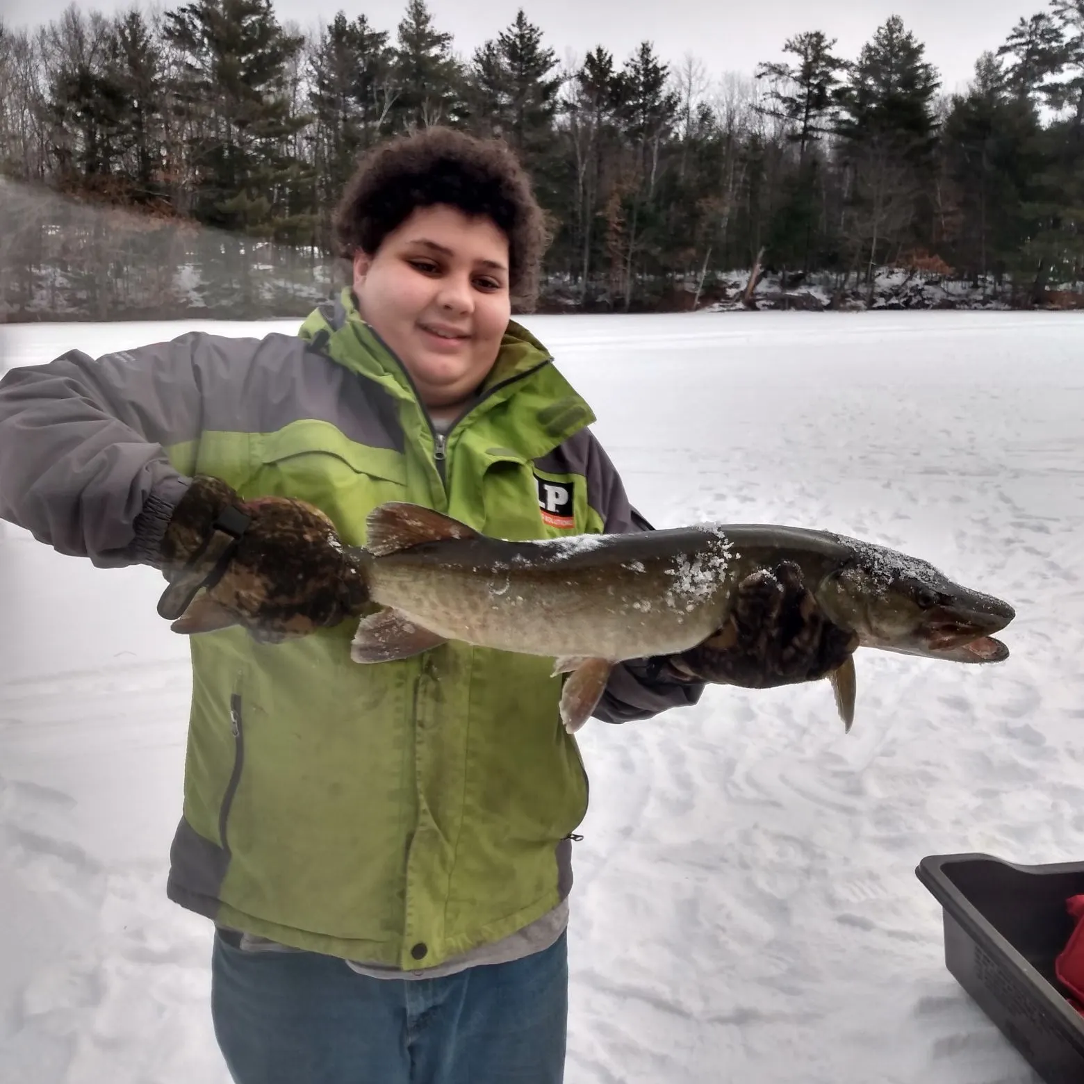 The most recent Muskellunge catches on Fishbrain