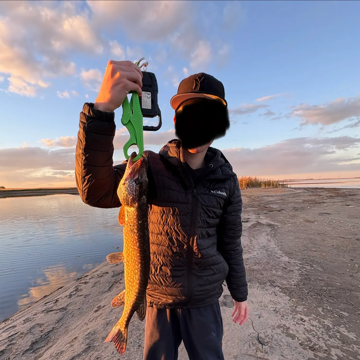 Northern pike caught on Fishbrain