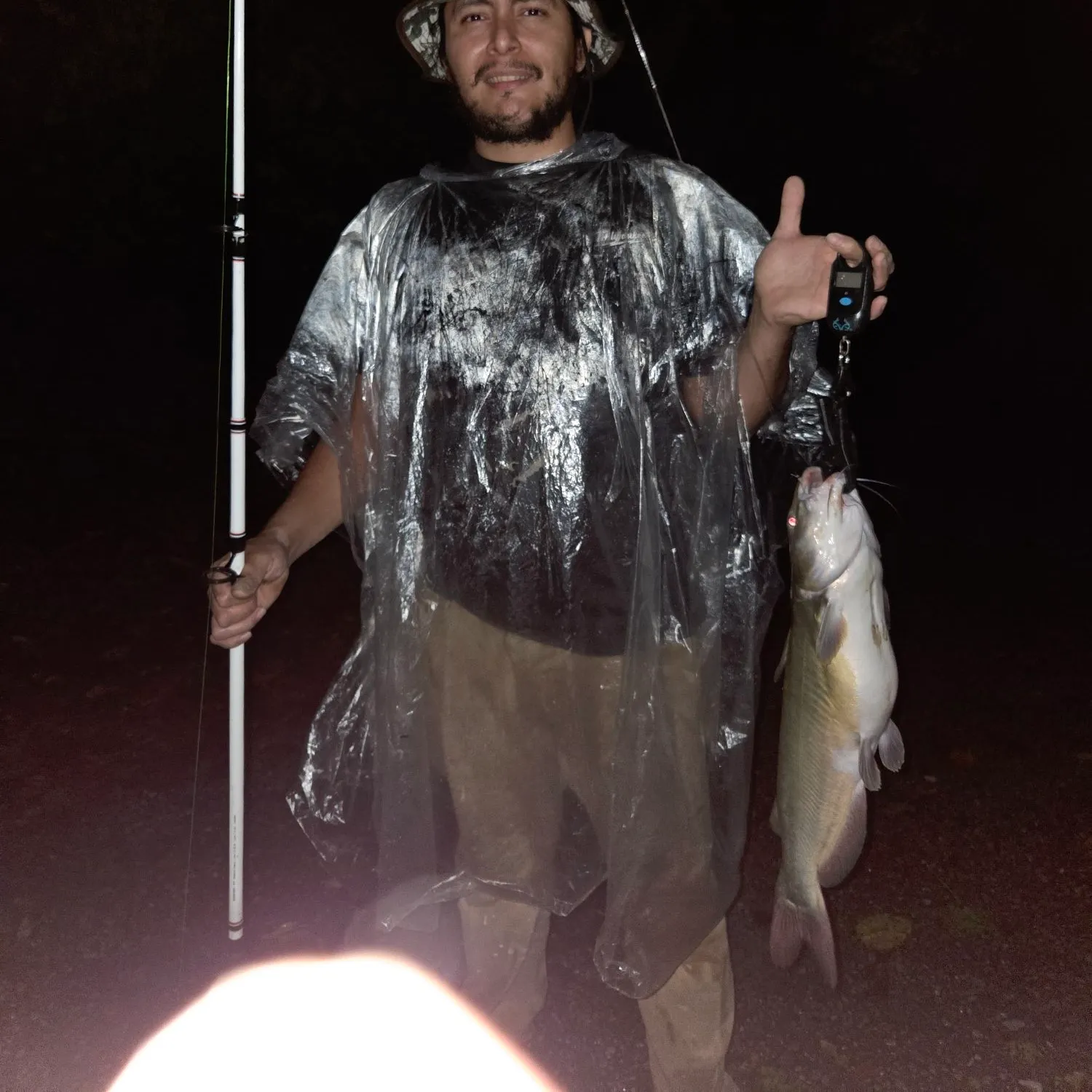 Channel catfish caught on Fishbrain
