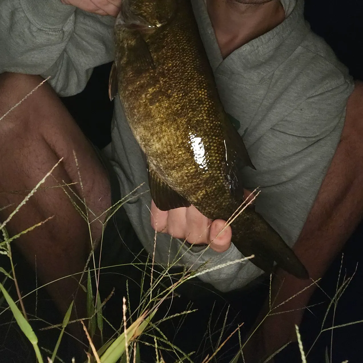 Smallmouth bass caught on Fishbrain