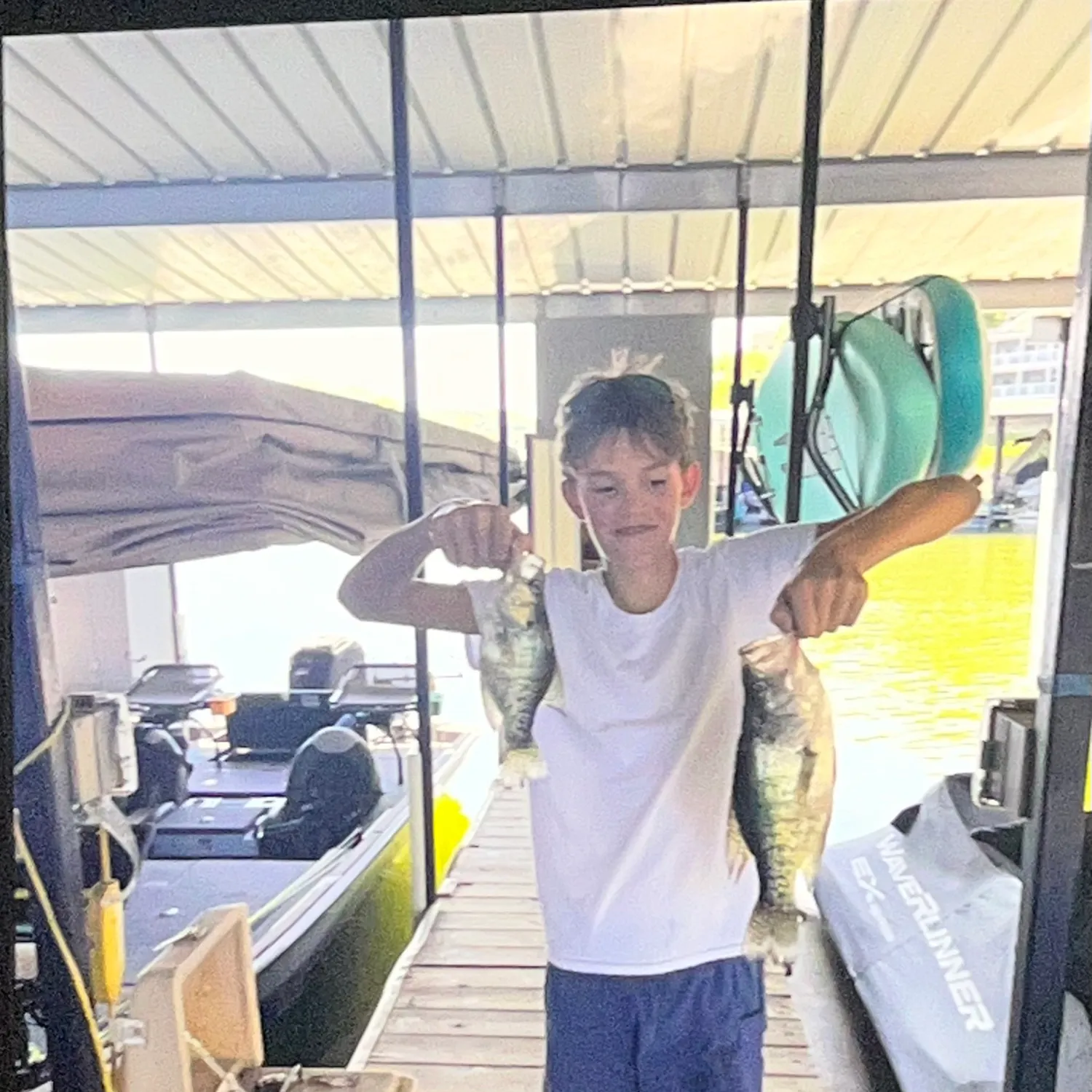 Black crappie caught on Fishbrain