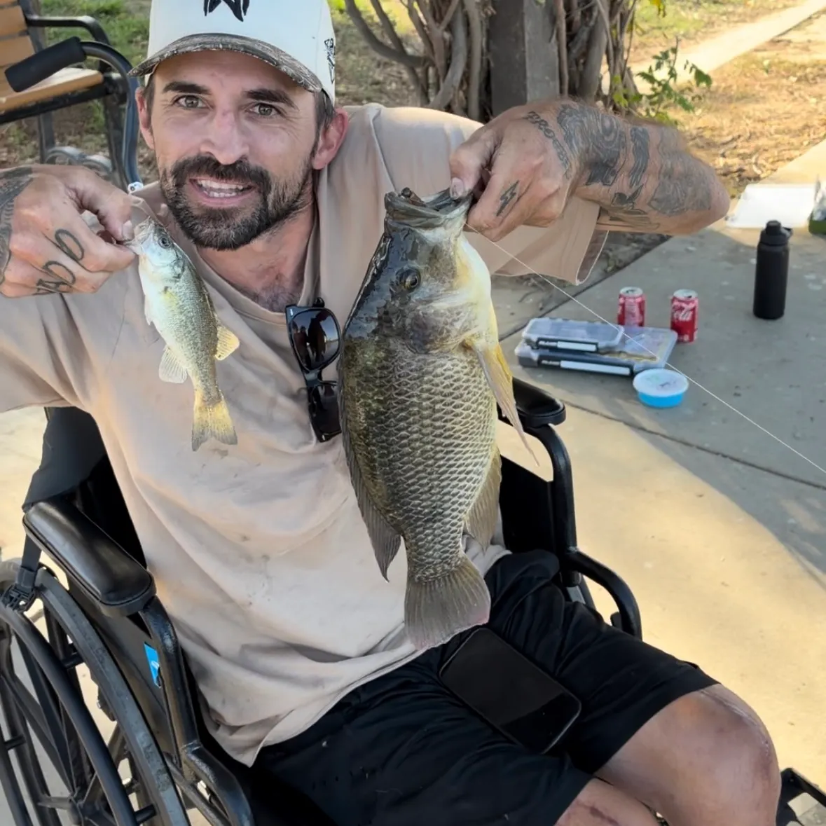 Mozambique tilapia caught on Fishbrain