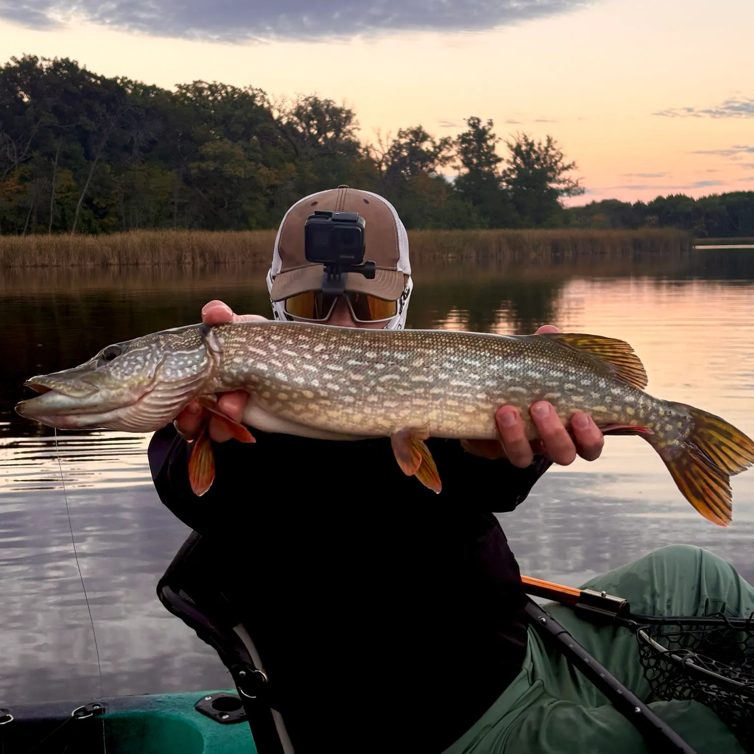 Northern pike caught on Fishbrain