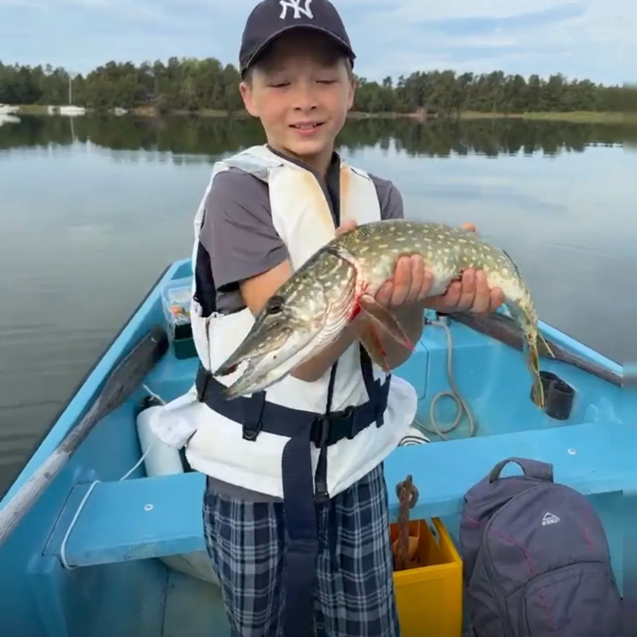 Northern pike caught on Fishbrain