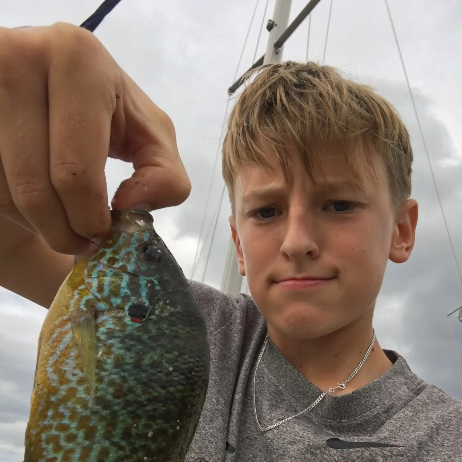 Pumpkinseed caught on Fishbrain