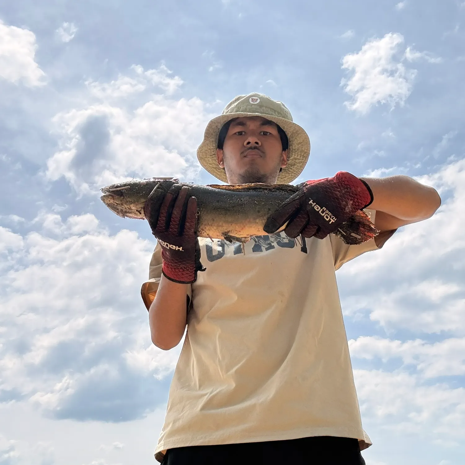 catch