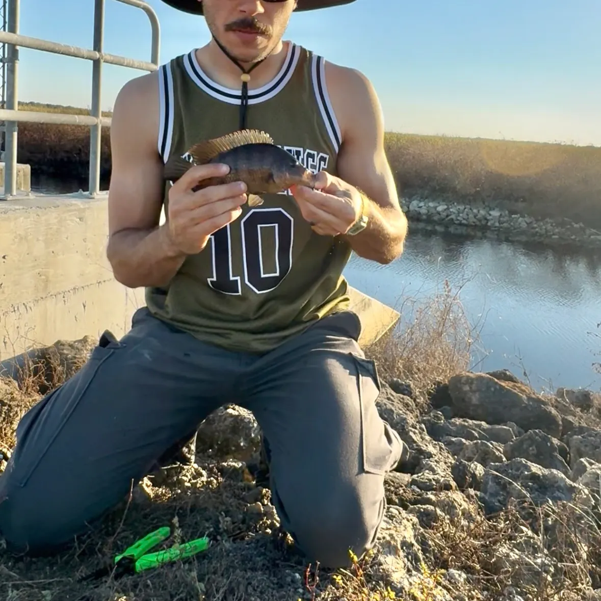 The most recent Mayan cichlid catches on Fishbrain