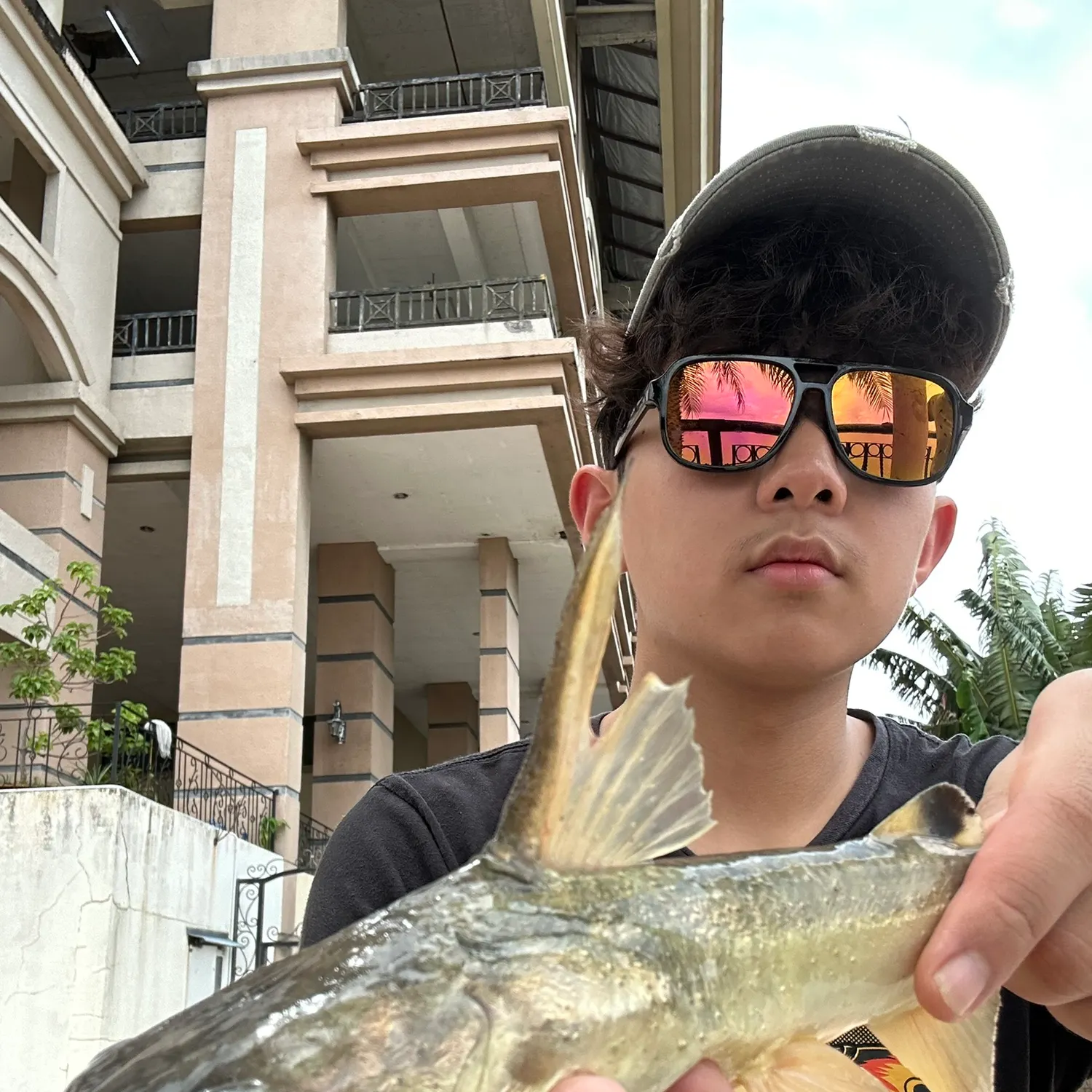 The most recent Asian redtail catfish catches on Fishbrain