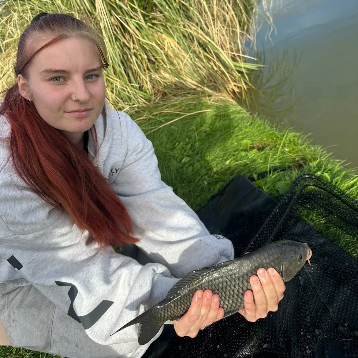 Common carp caught on Fishbrain