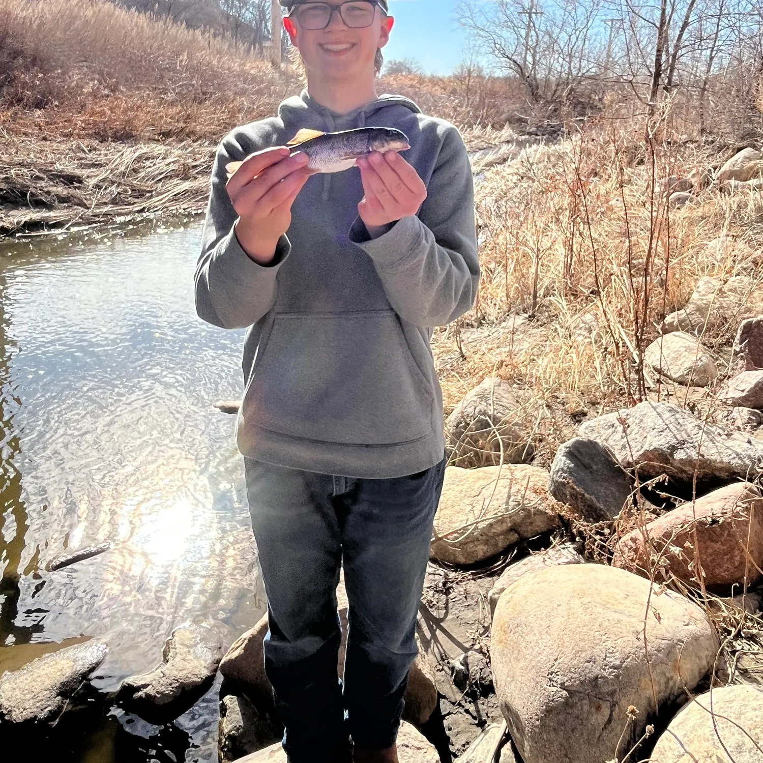 The most recent Northern hogsucker catches on Fishbrain