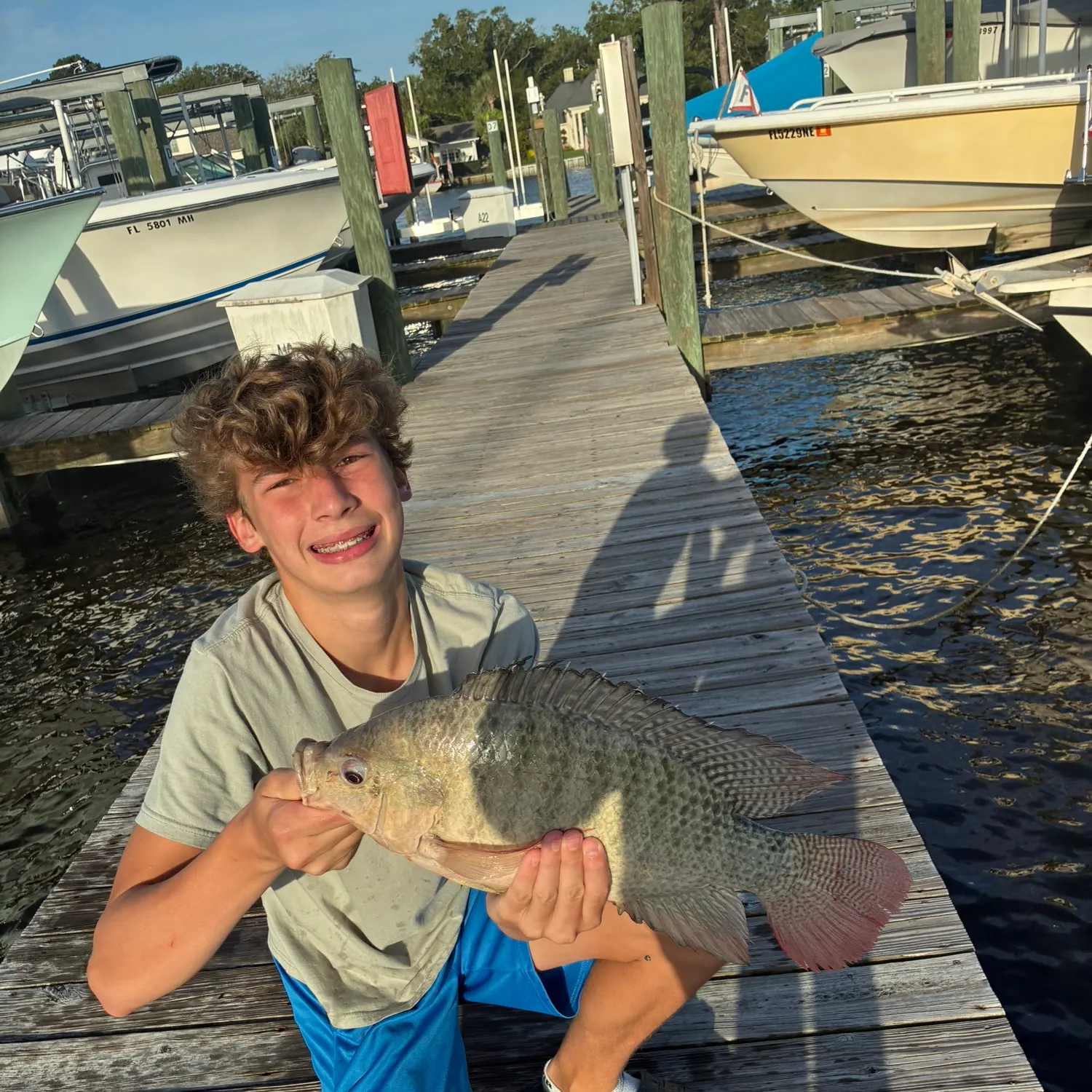 recently logged catches