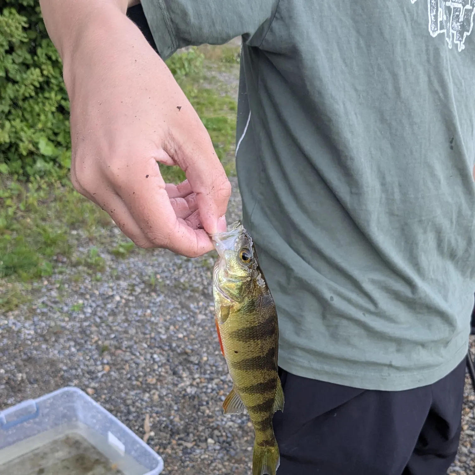 catch